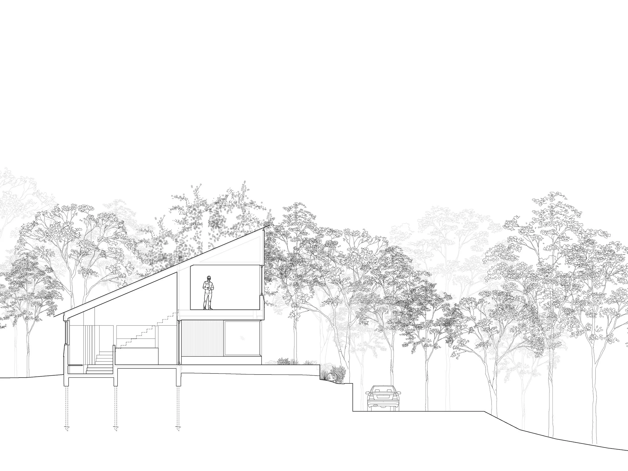 Section drawing of architectural cabin at Wabamun, Alberta, near Edmonton