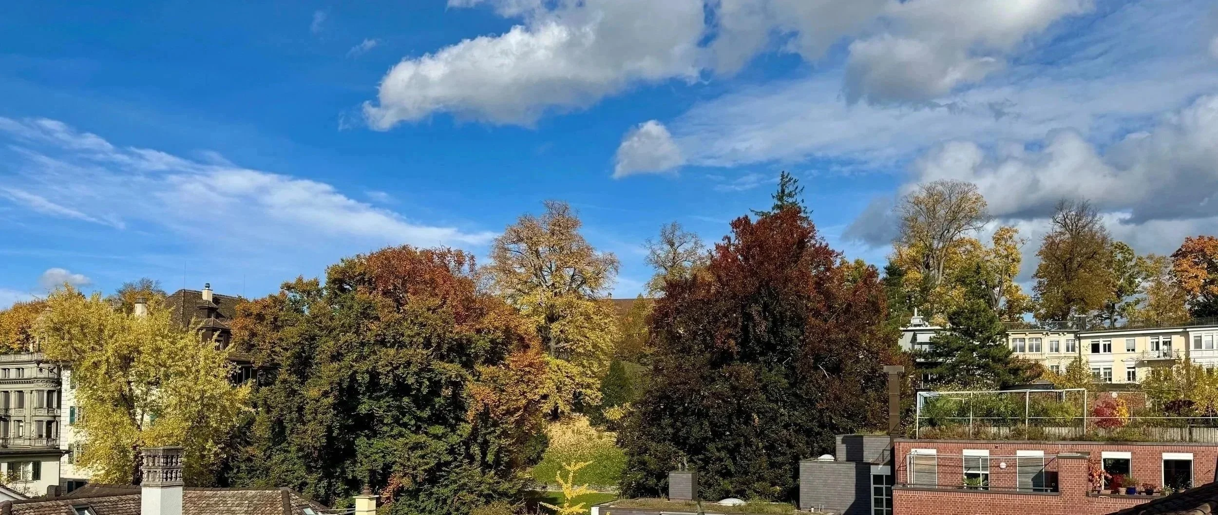 Blick auf einen ruhigen Stadtpark mit Bäumen in bunten Herbstfarben, umgeben von Gebäuden gegen einen Himmel mit Wolken und Blau.