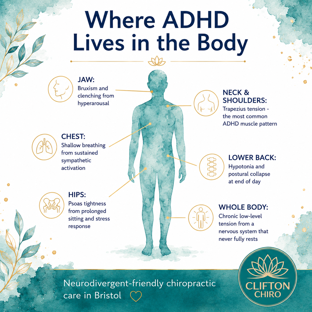 ADHD and Posture: Why Sitting Still Is Harder | Clifton Chiro