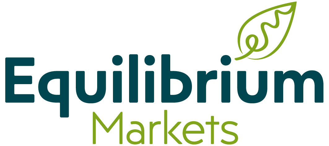 Equilibrium Markets