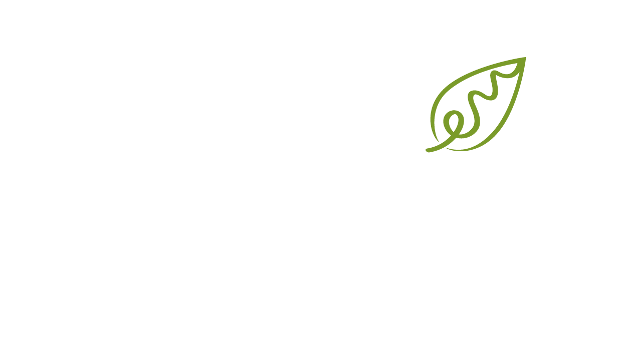 Equilibrium Markets
