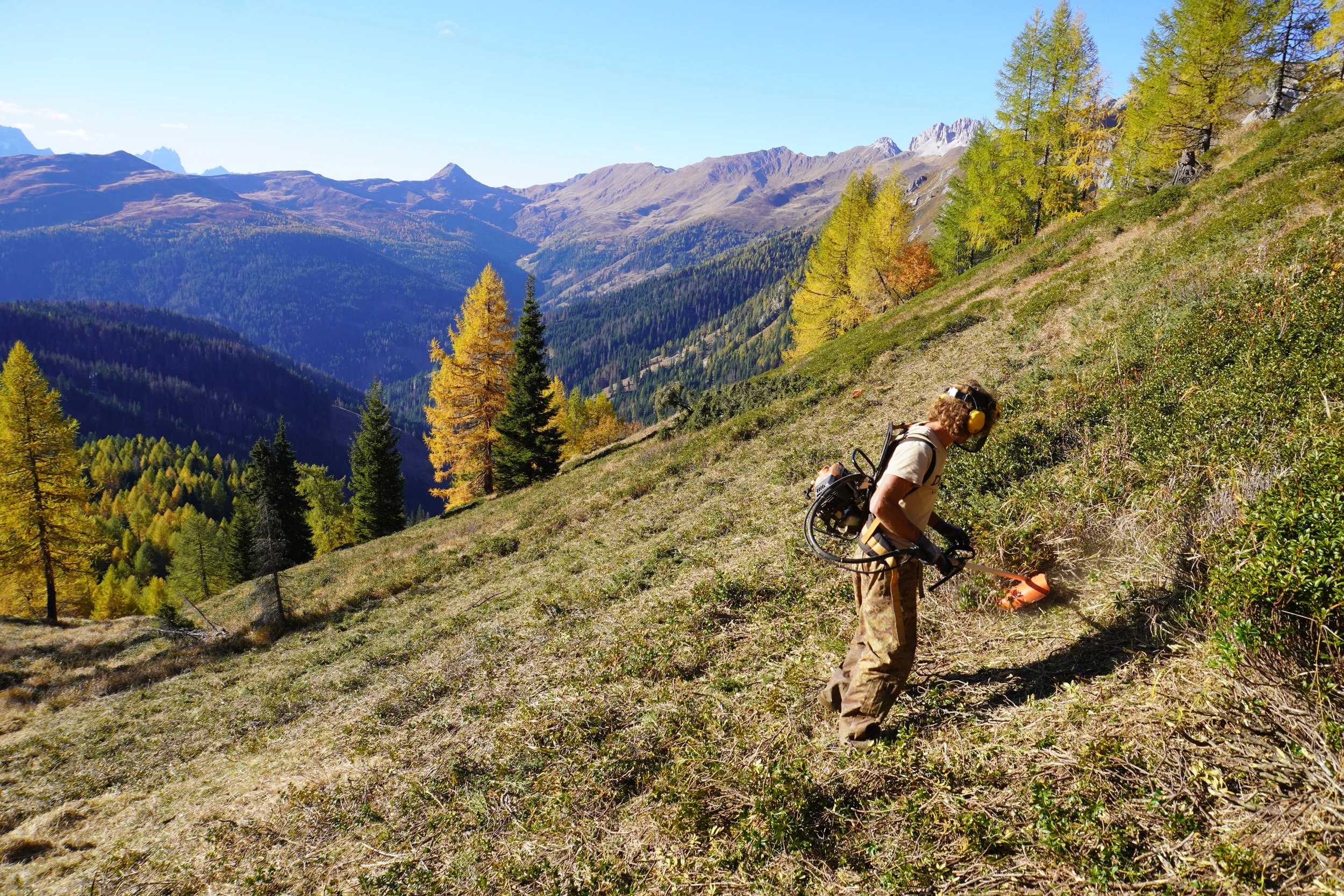 Uomo che fa lavori di giardinaggio o manutenzione con una motosega su una collina con alberi e montagne sullo sfondo in un paesaggio naturale