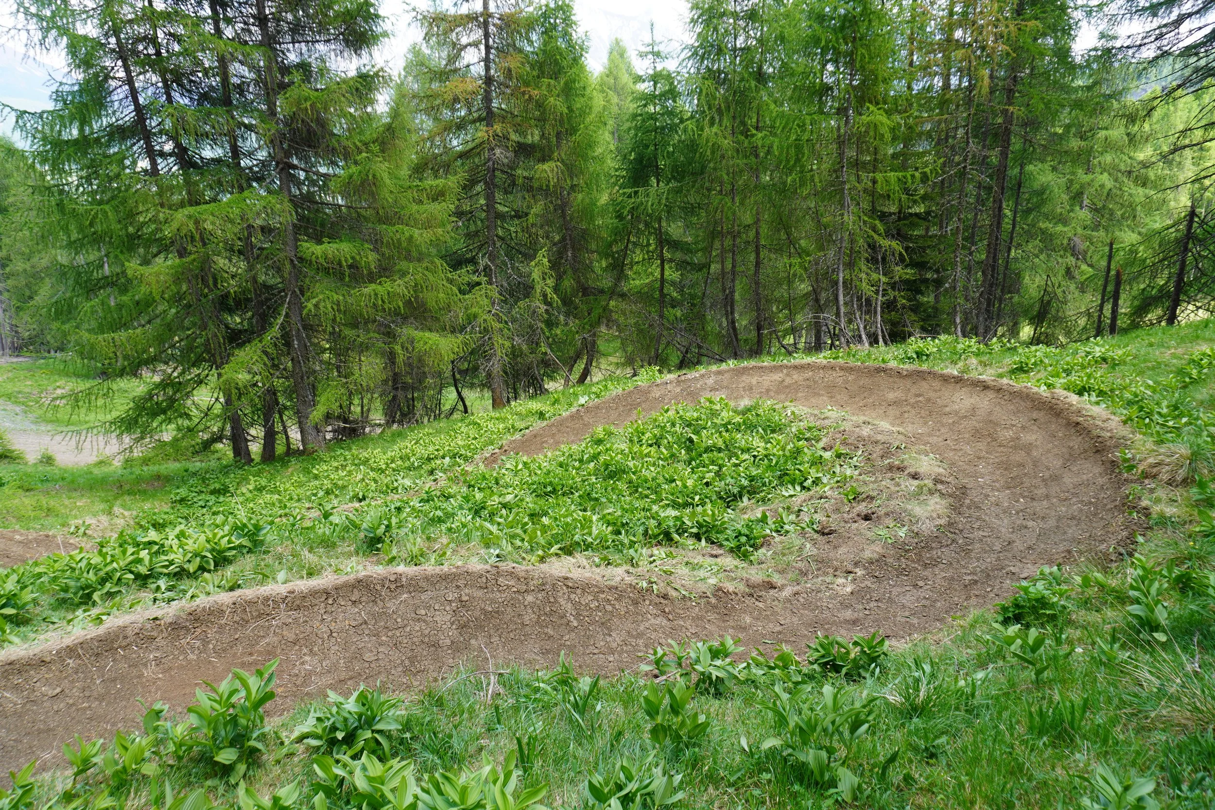 DSC05975.JPG