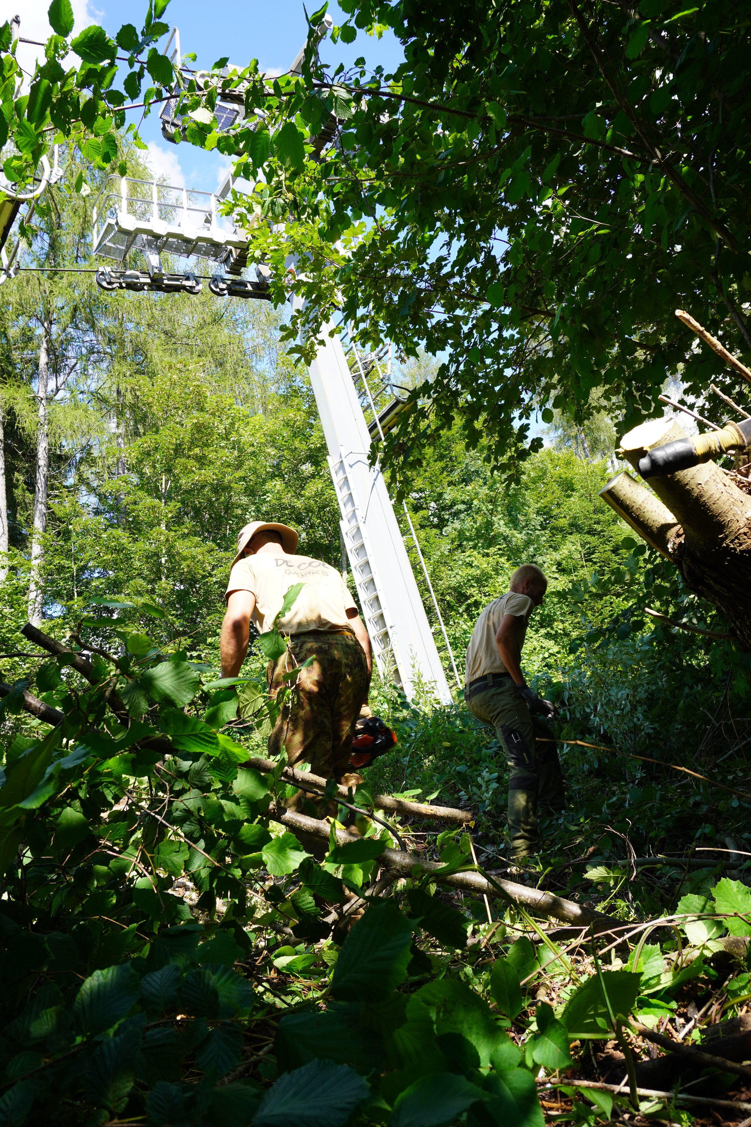 Due operai lavorano nel bosco vicino a un'imbragatura da alberi, con una torre di servizio sopra un albero e un cielo blu sullo sfondo.