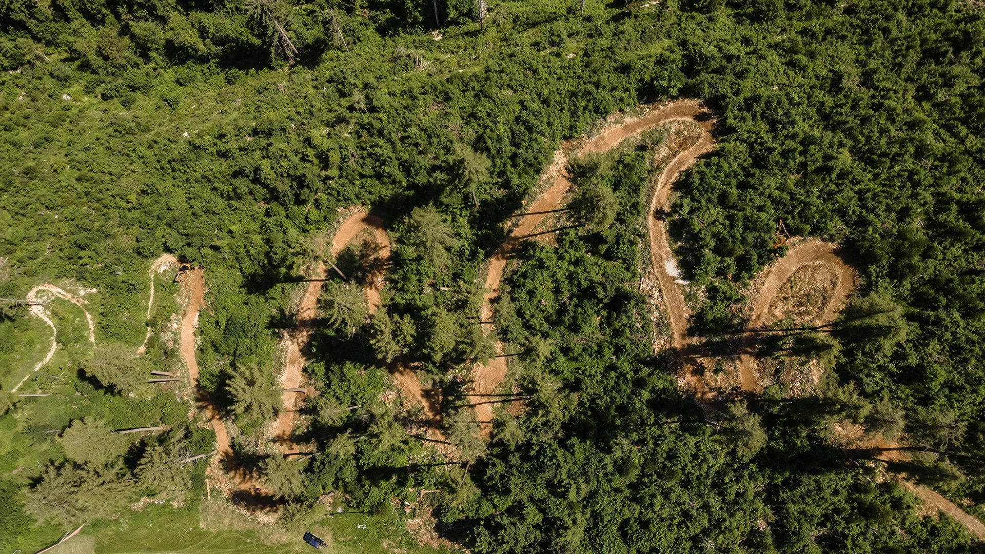 Sentiero sterrato sinuoso tra alberi di foresta, vista dall'alto.