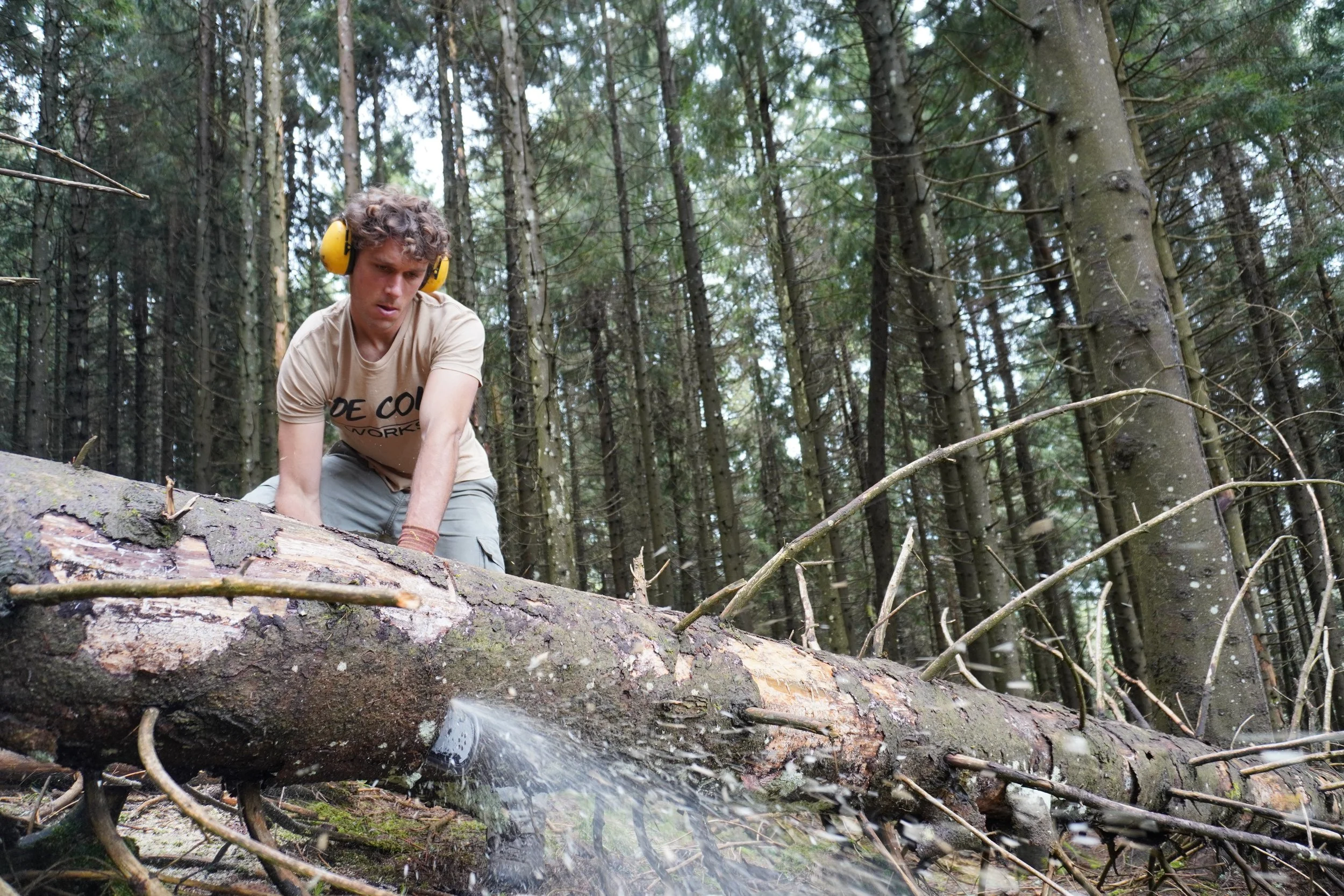 Uomo con protezioni auricolari lavora su un albero abbattuto nel bosco.