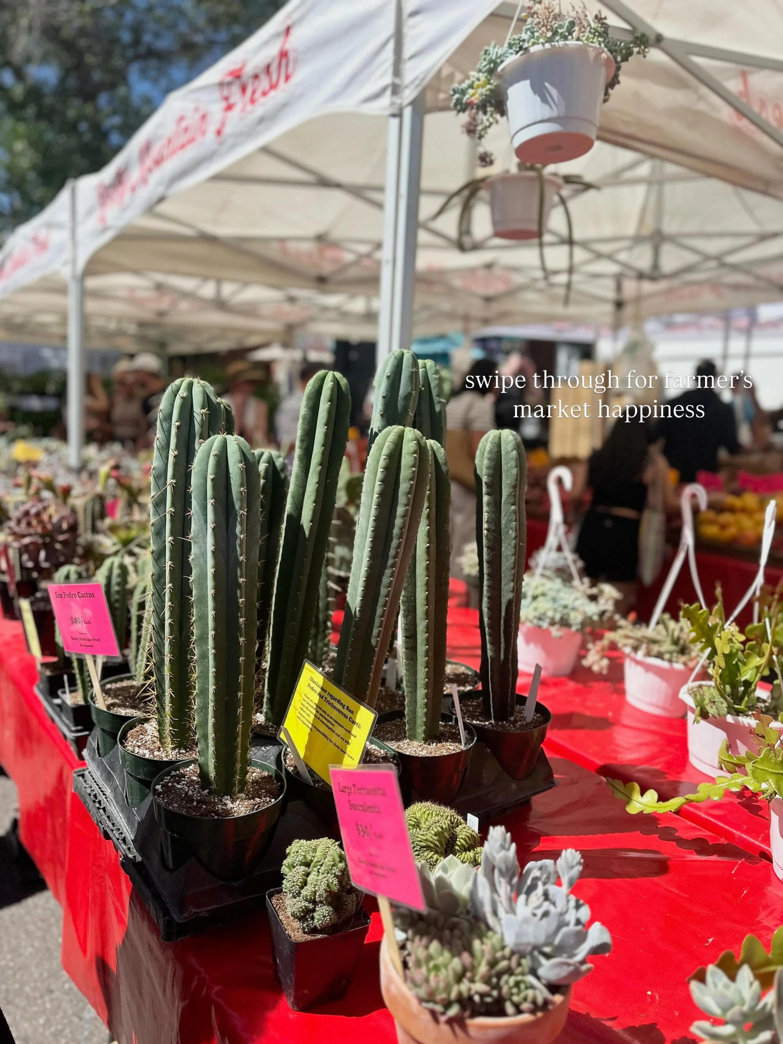 We have a grazing table order this week and the vibe is fresh and fun, so of course we secured edible flowers to add beautiful pops of color and of course we walked through the entire market and of course we picked up some favorites while there. 

#c