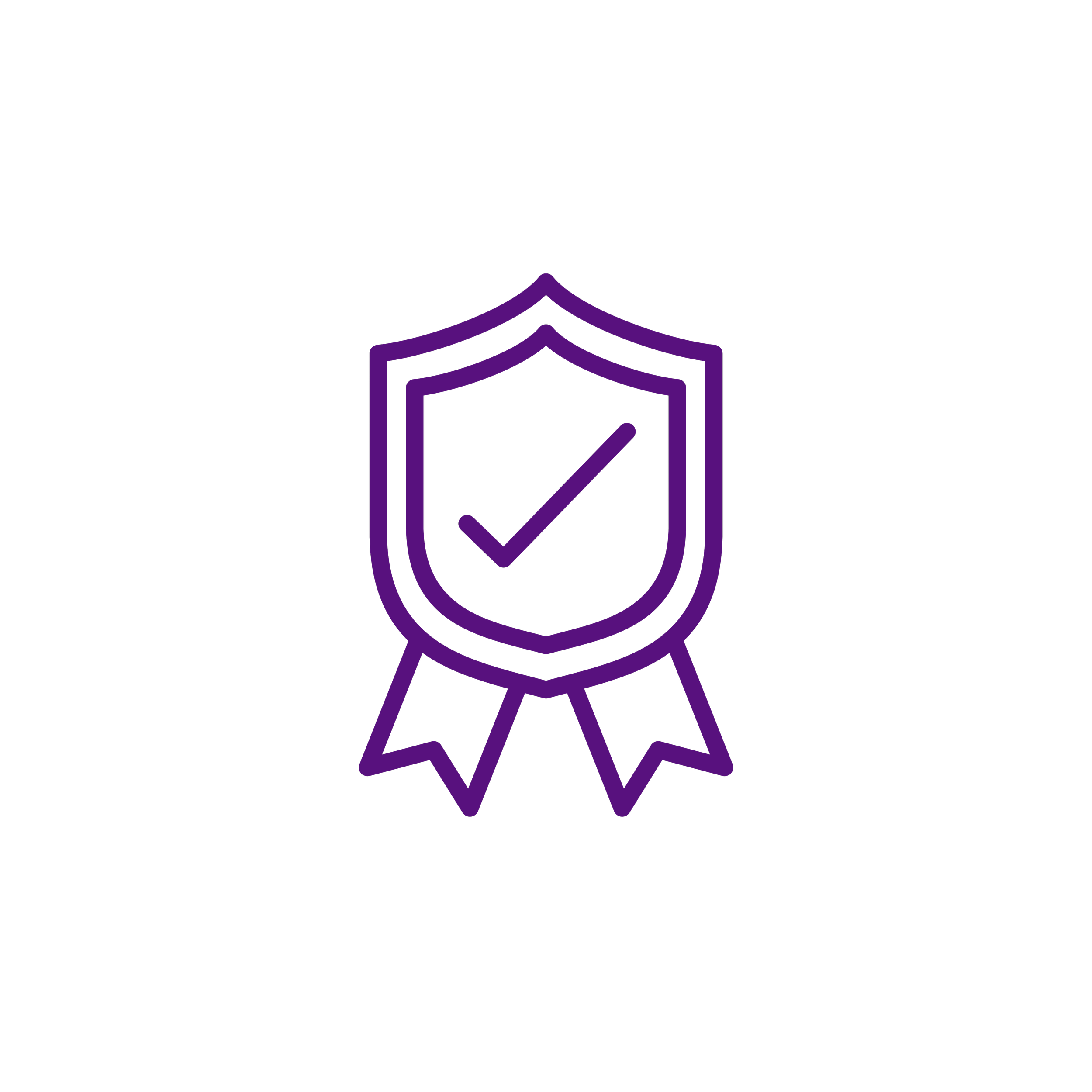 Neon illustration of a shield with a checkmark inside and ribbons, symbolizing security or certification.