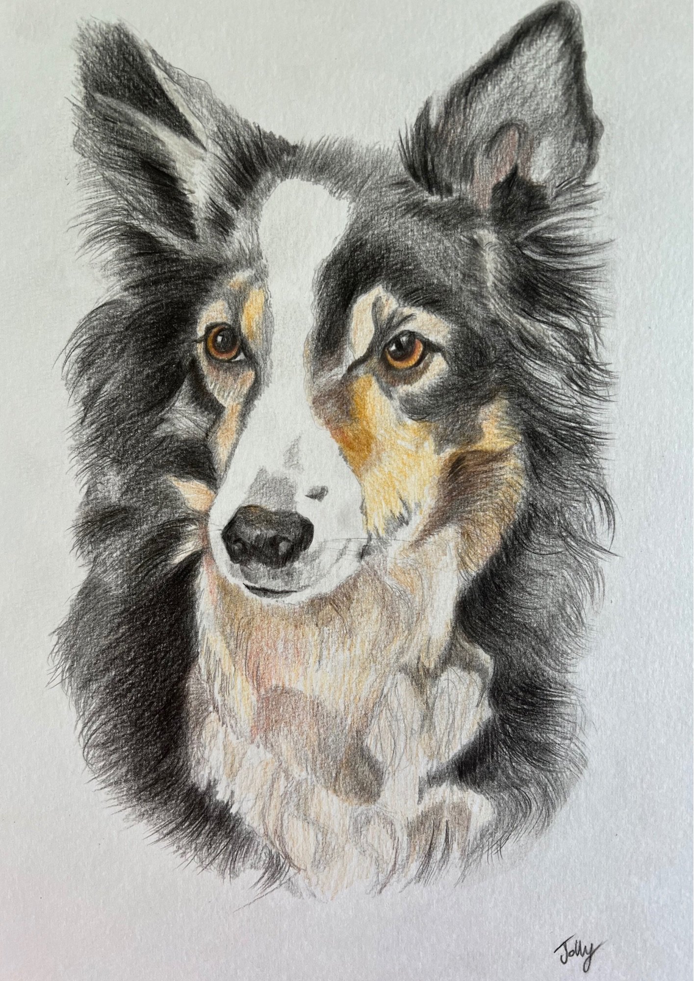 Pet Portrait Order Here