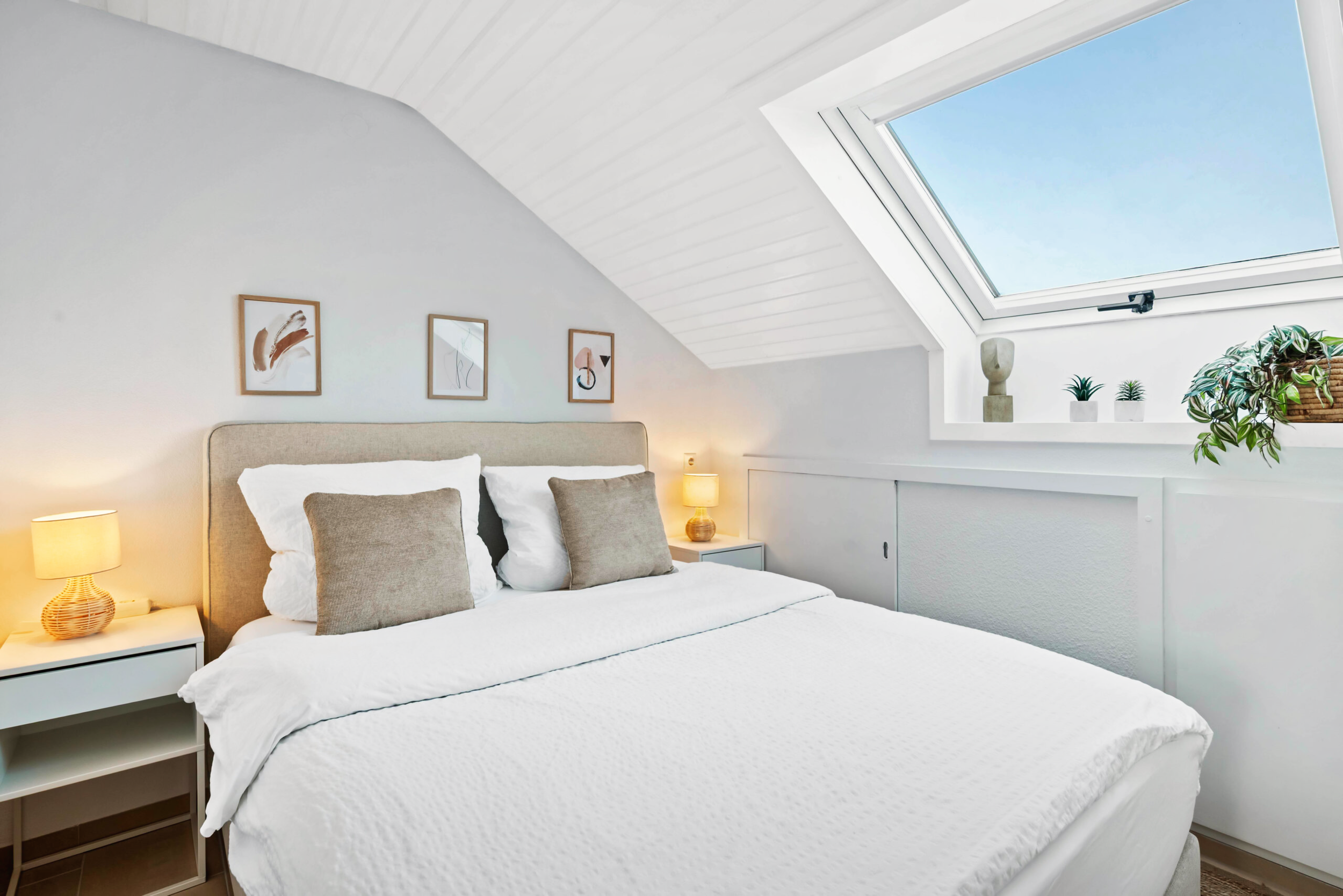 Ian Media - DC756 (4).png