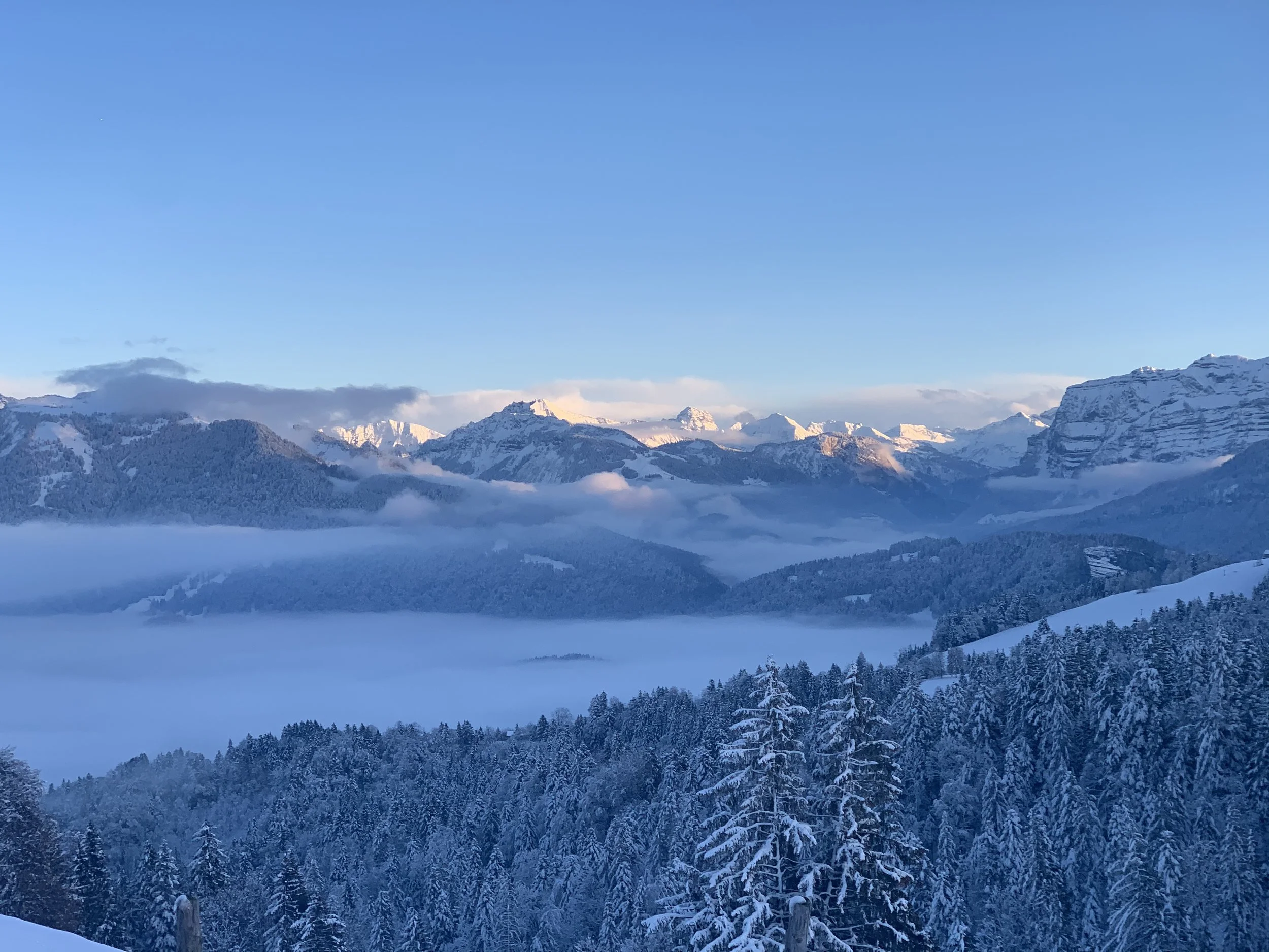 201207 Bödele_5.jpeg