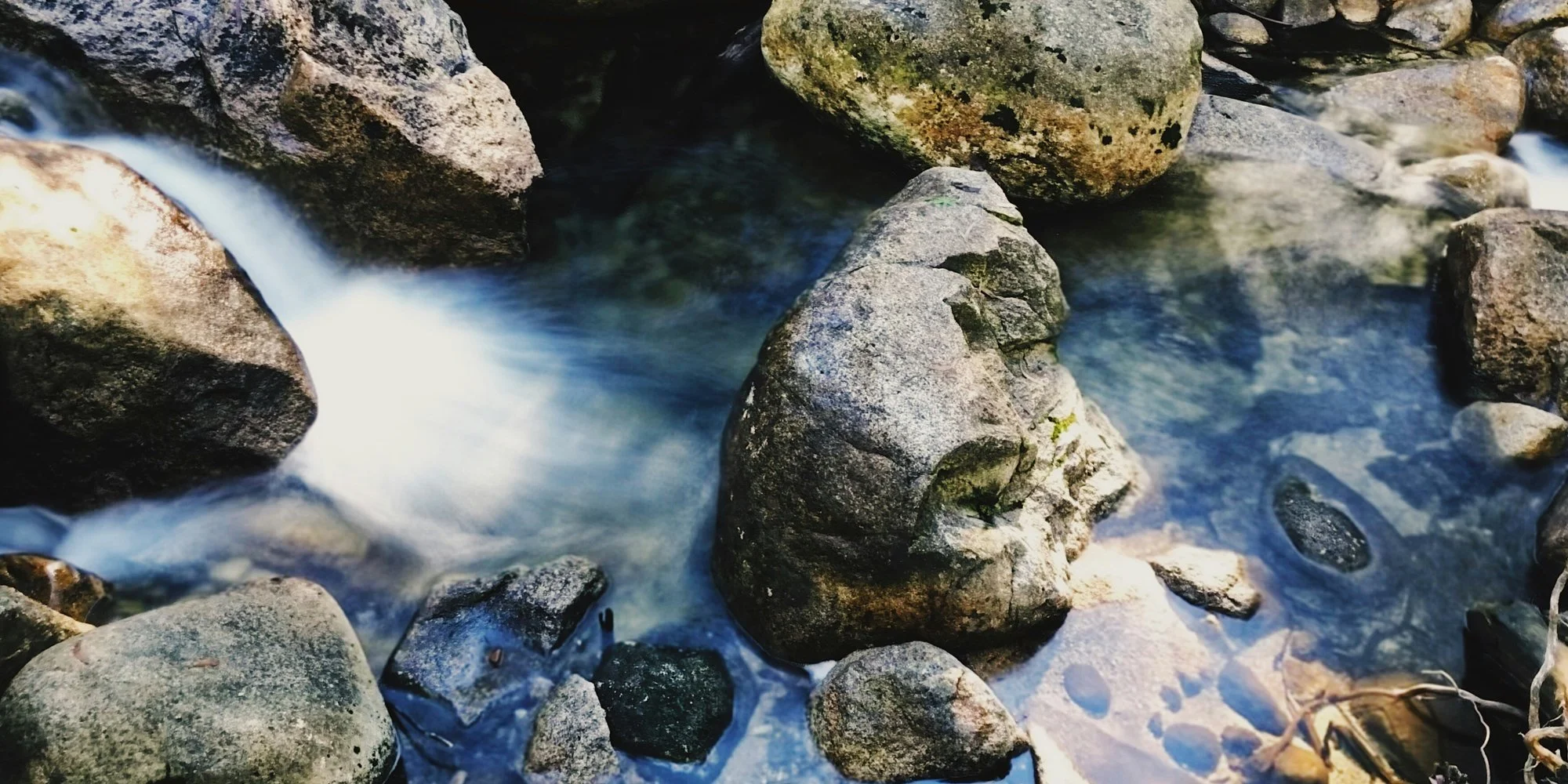 DrVetter-Header-7.jpg