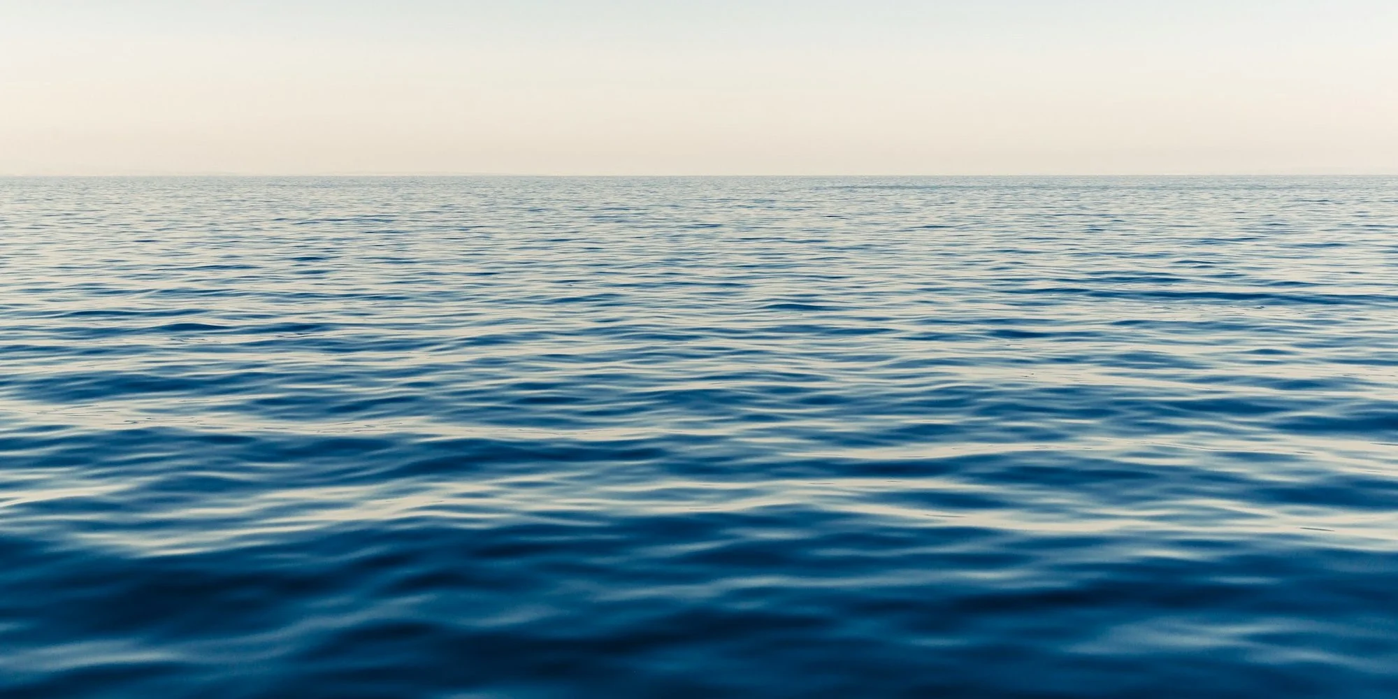 DrVetter-Header-8.jpg