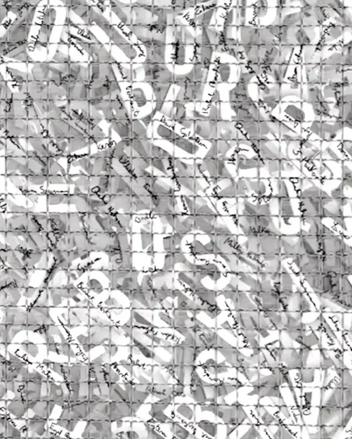 CALL THEM BY THEIR NAMES
11.07 25
&nbsp;
Bearing witnessing to the first quotidian live-stream genocide in Gaza leaves us in a pool of helplessness. We the onlookers process daily the images of children who are orphaned, maimed and shaking in shock. 