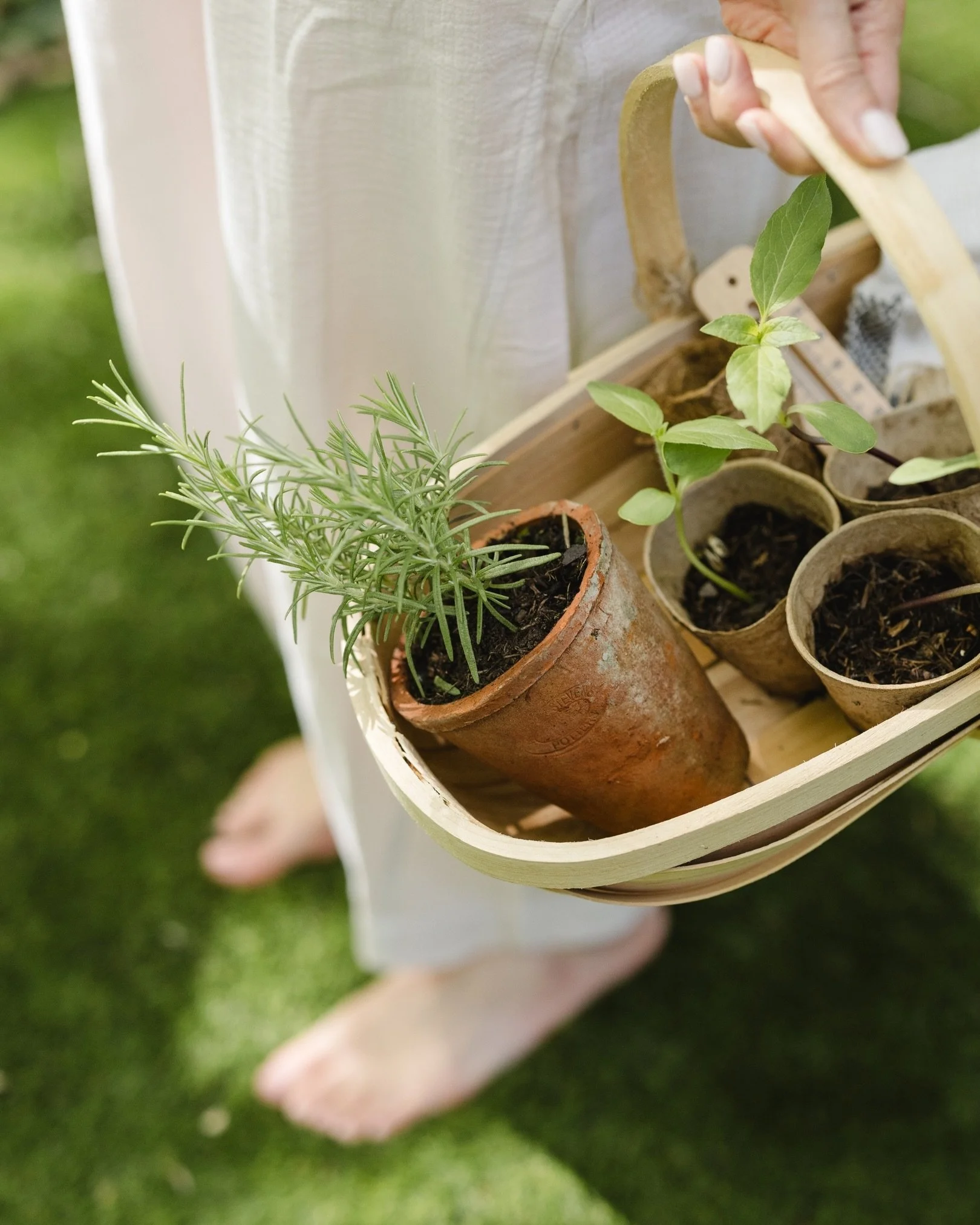 National Allotments Week is here! 🪏🪴

For me, gardening and spending time immersed in nature is the best form of therapy. And what better way to embrace the warm summer months than getting outdoors. Whether you naturally have a green thumb or not, 