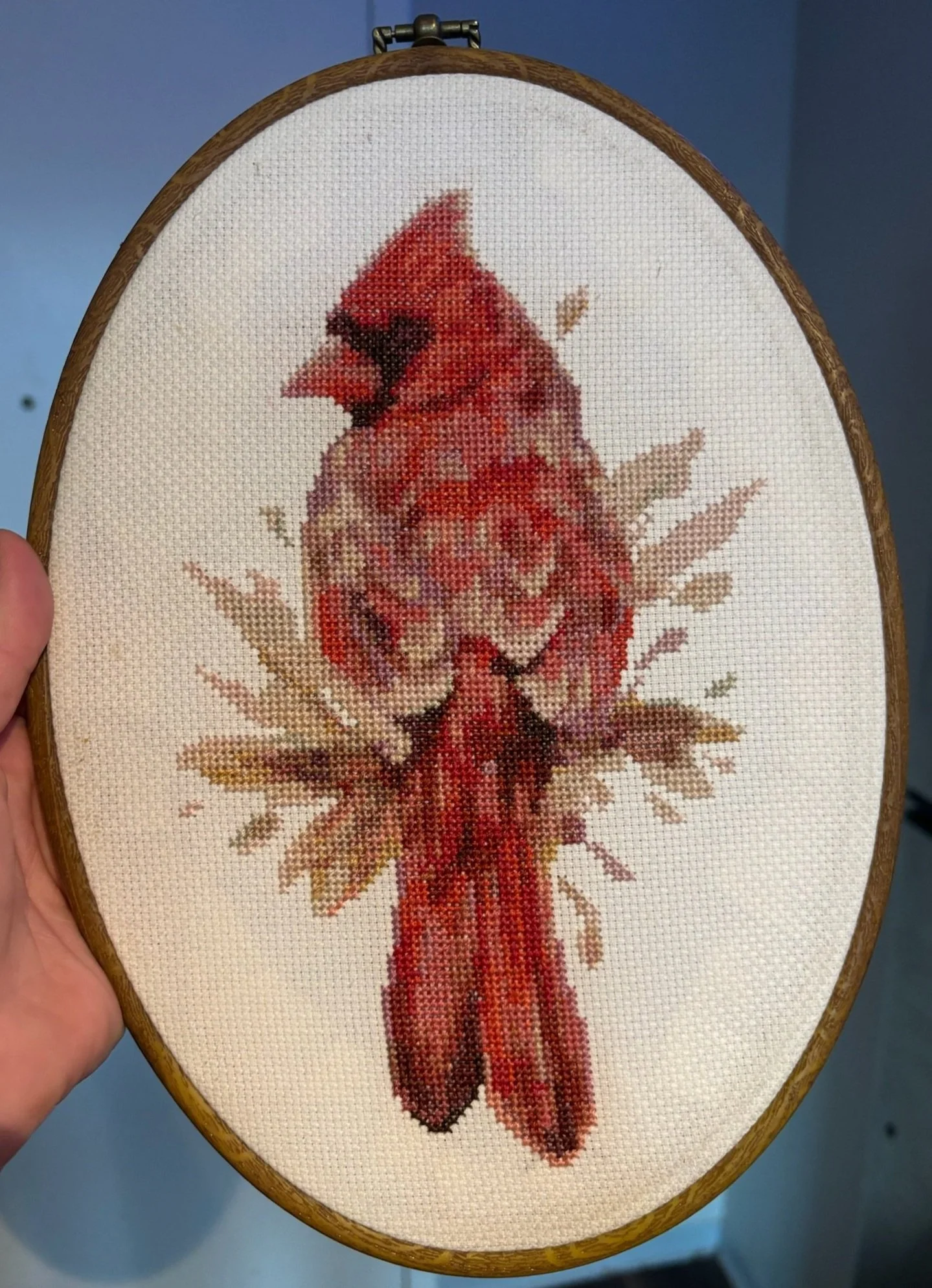 "Cardenal" - 28/6/2024