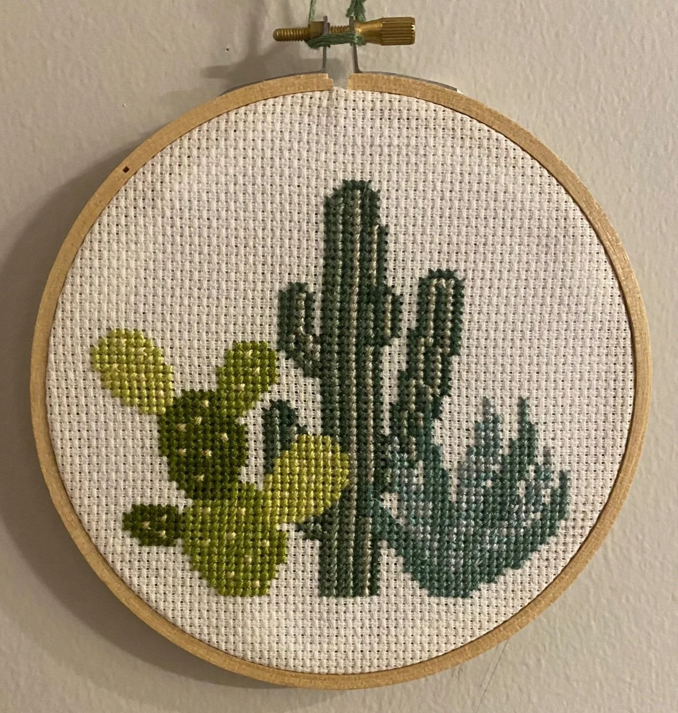 "Plantas del desierto" - 11/9/2021