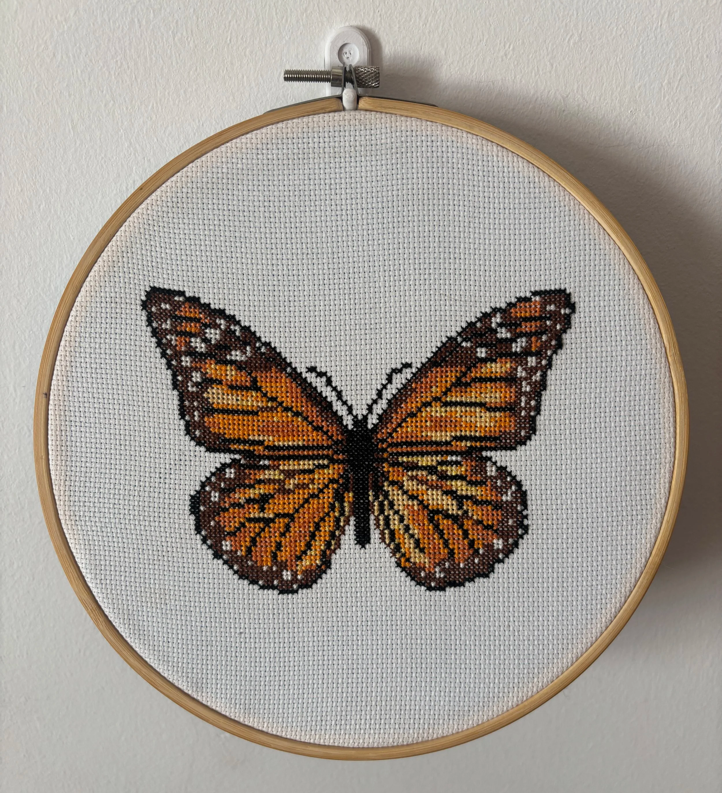 "Mariposa monarca" - 22/1/2025