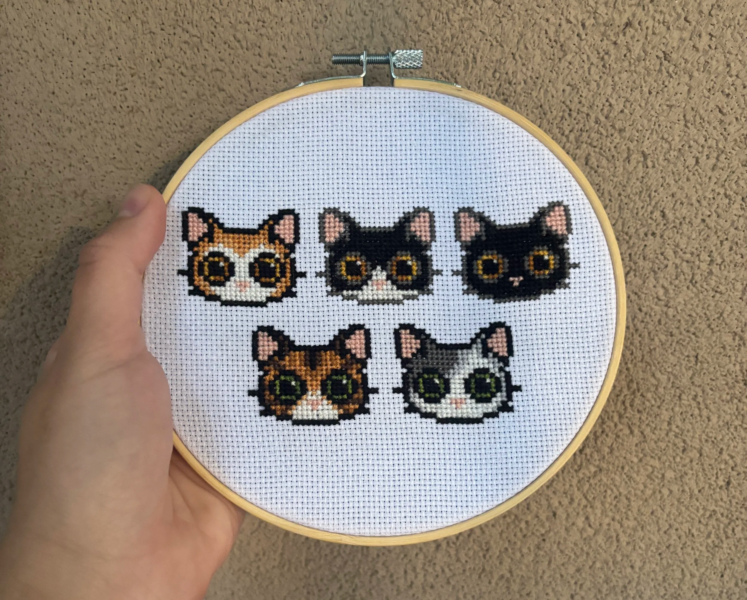 "Los gatos de Kelynn" - 17/2/2026