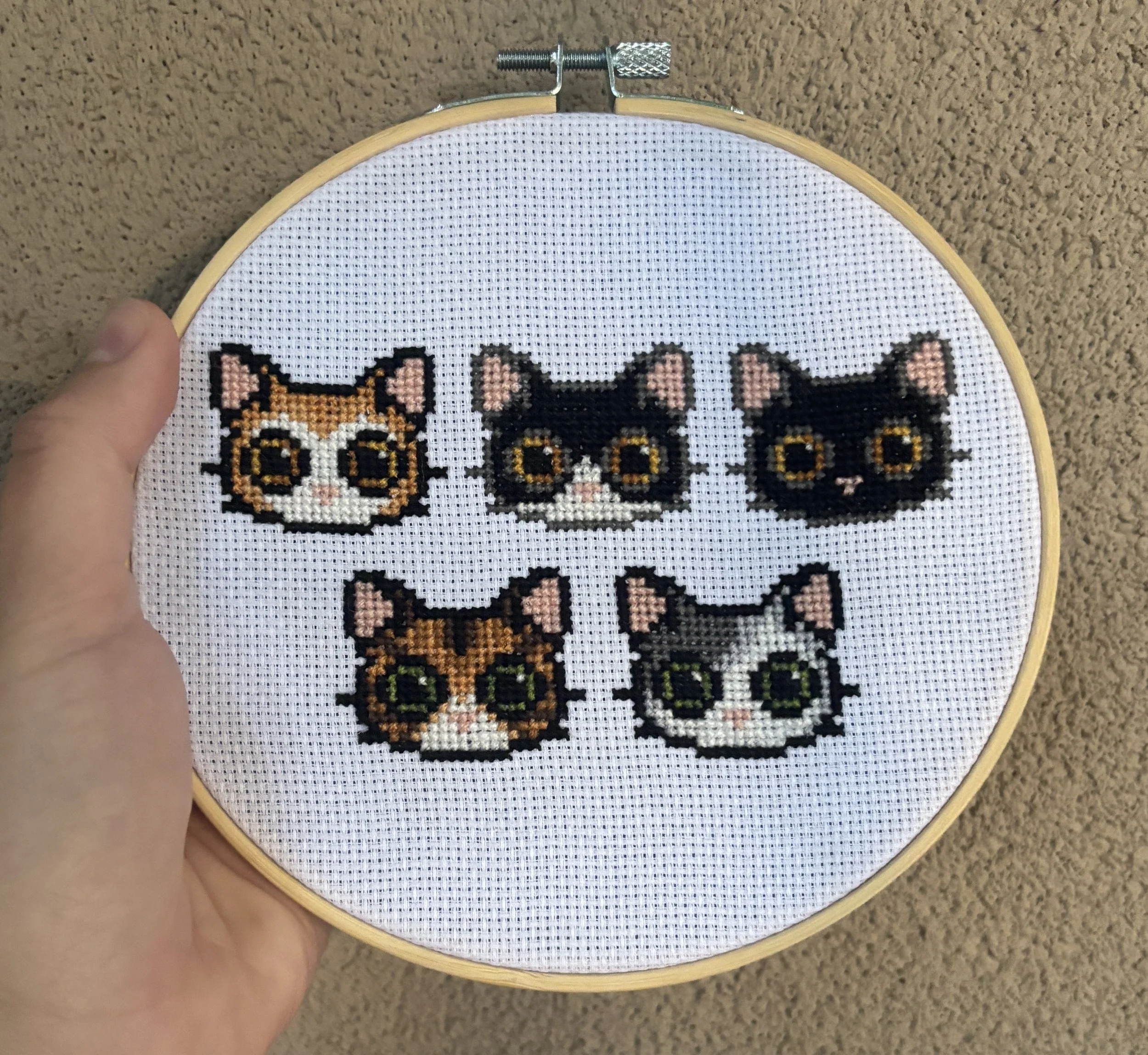 "Los gatos de Kelynn" - 10/3/2026
