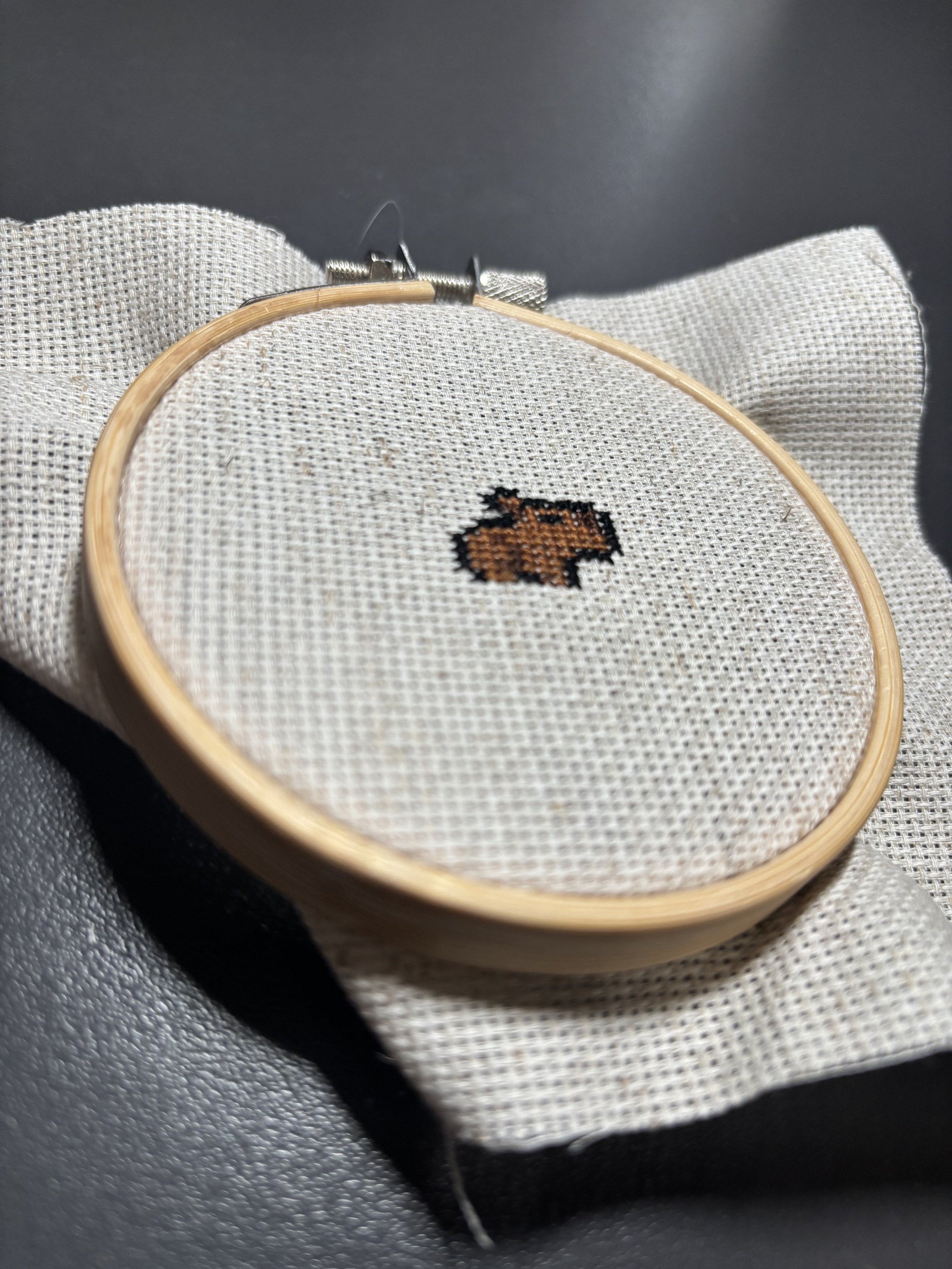 "Carpincho" - 26/7/2025