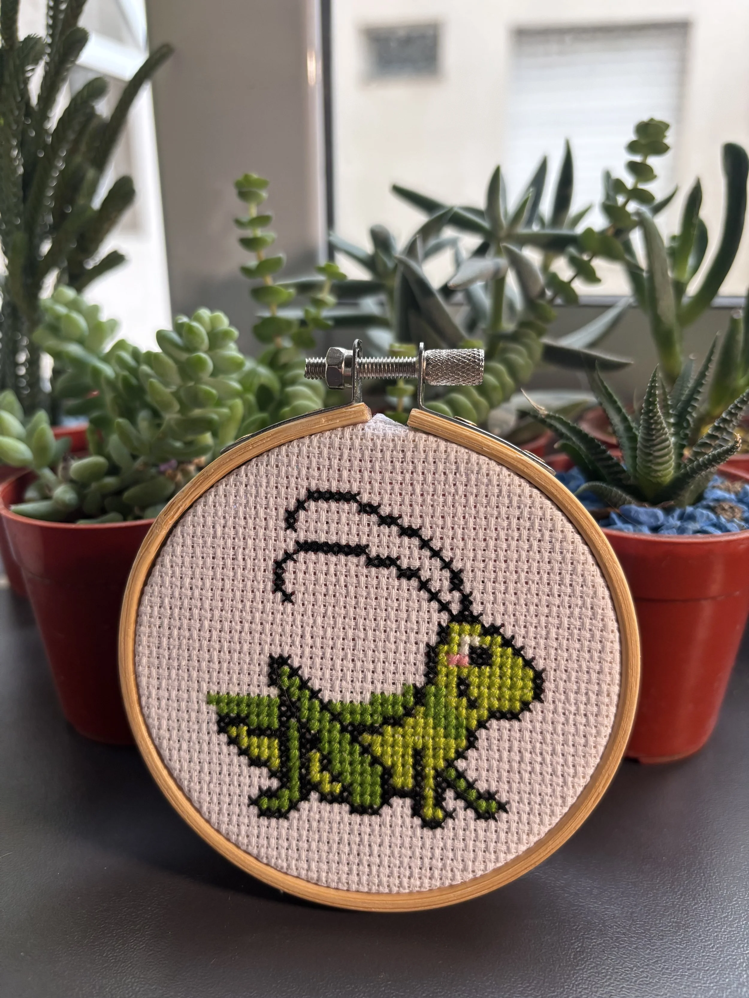 "Grillo pequeñito" - 23/9/2025