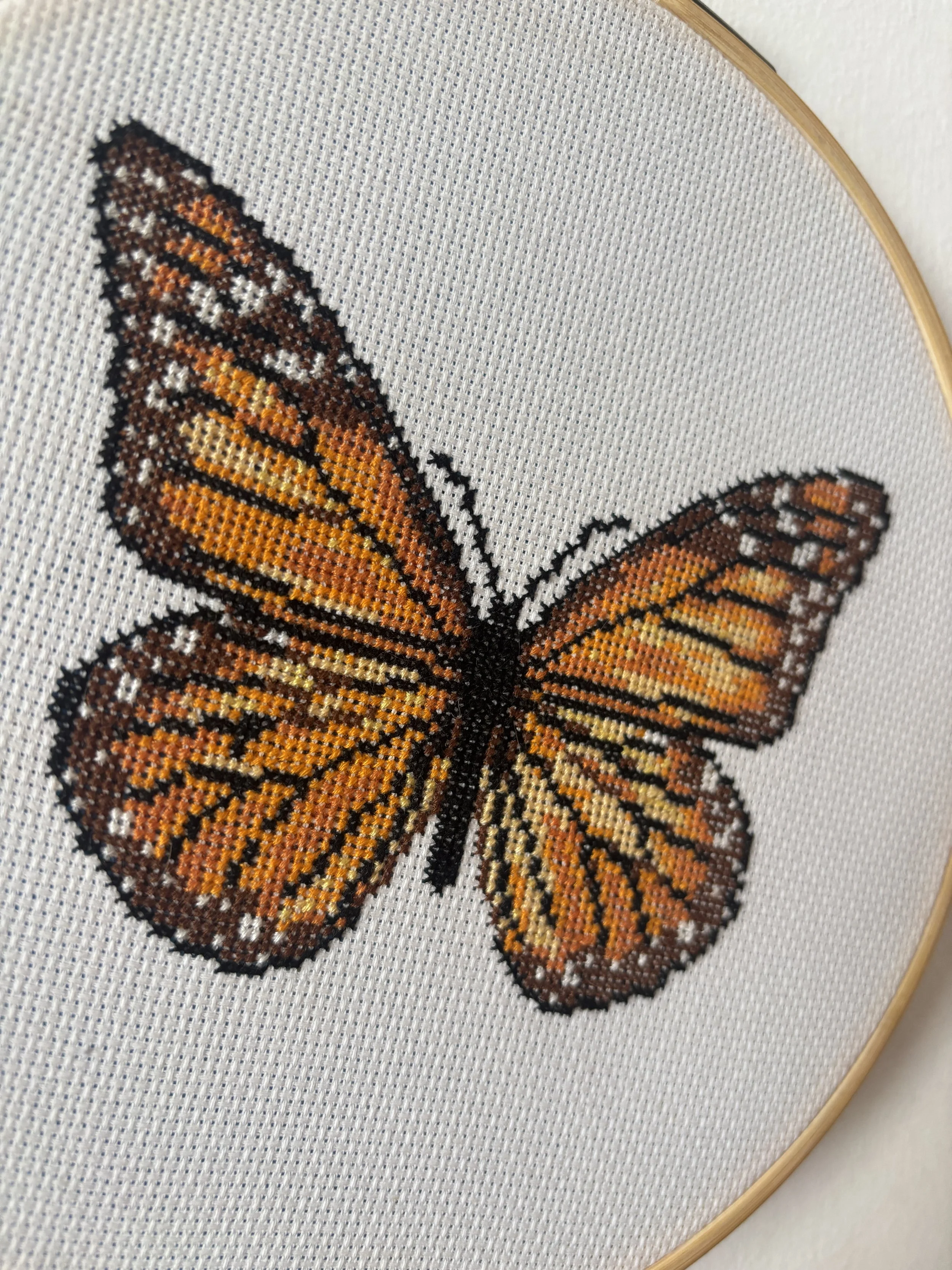 "Mariposa monarca" - 22/1/2025