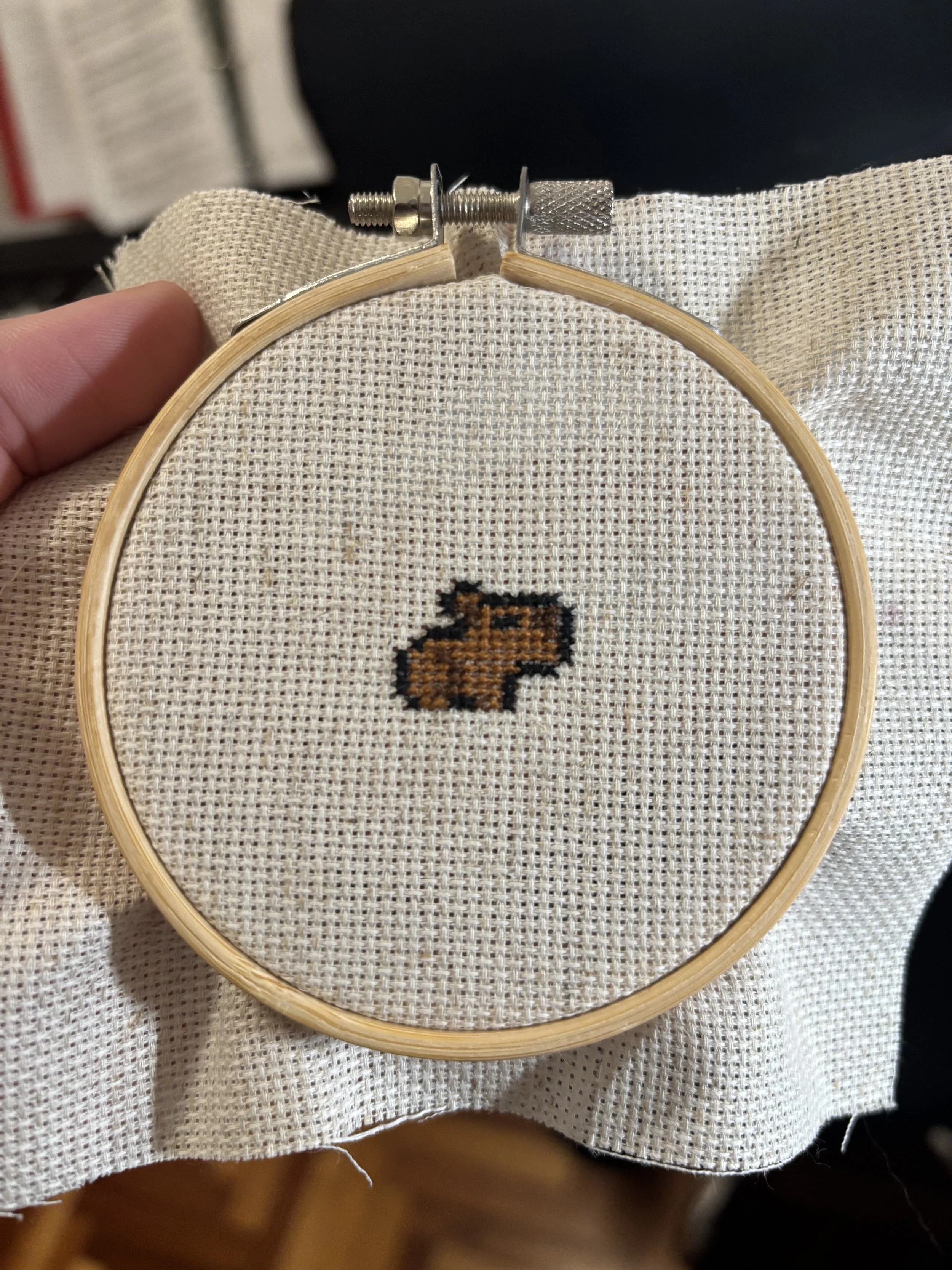 "Carpincho" - 26/7/2025