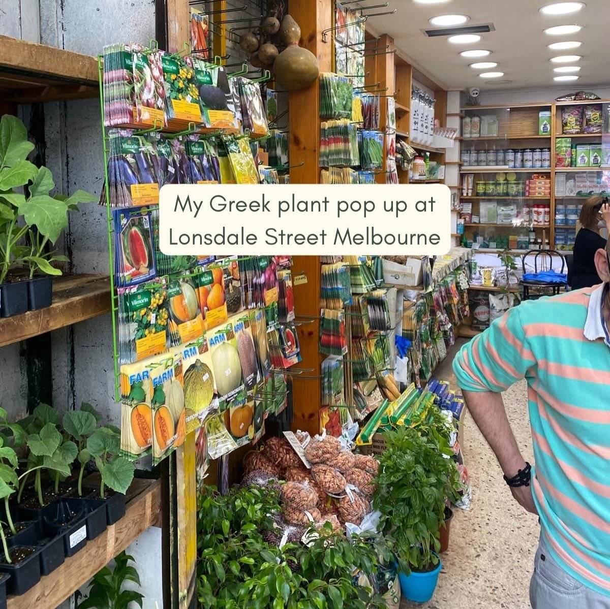 NIKOS GARDEN POP UP LONSDALE STREET GREEK FESTIVAL 🇬🇷 

This weekend catch me at @antipodesfestival and for all things Greek 😍

I have saved some of my favourite Greek herbs, teas and greens and they are available until sold out with exclusive spe