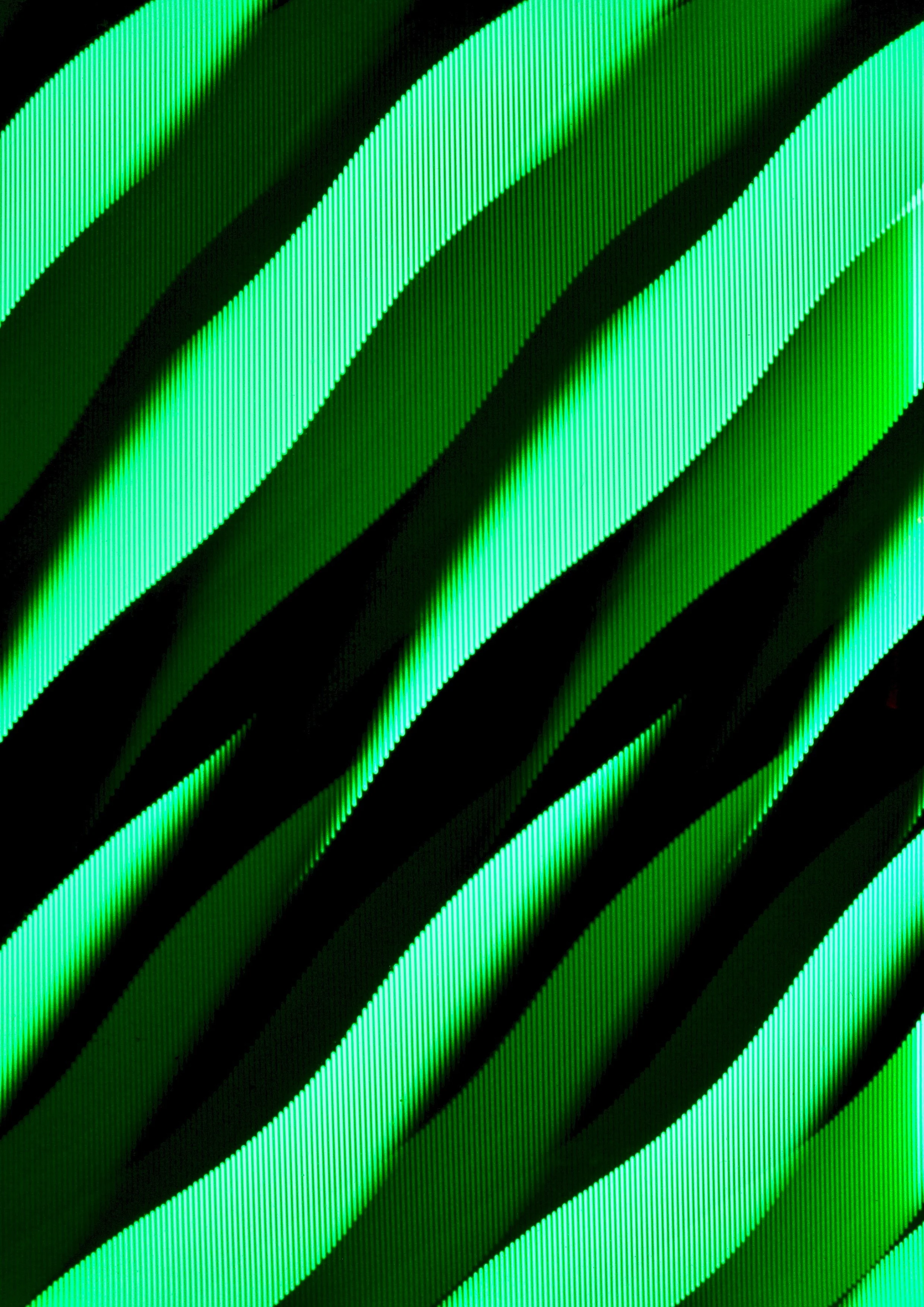 IMG_4763.jpeg