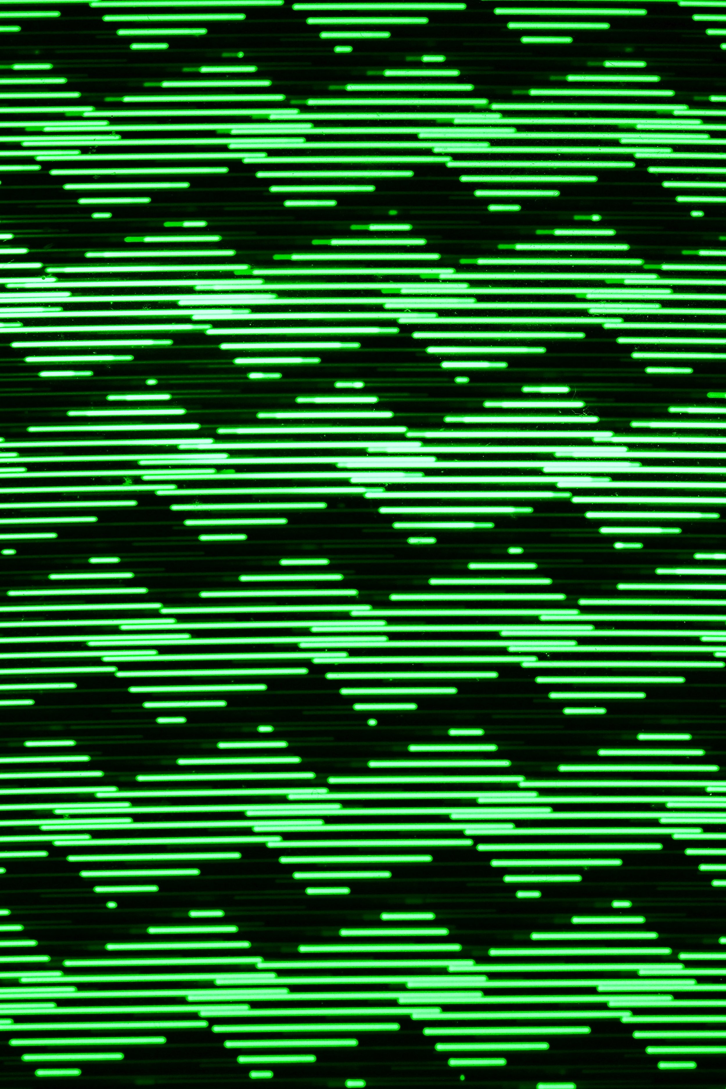 IMG_2880.jpeg