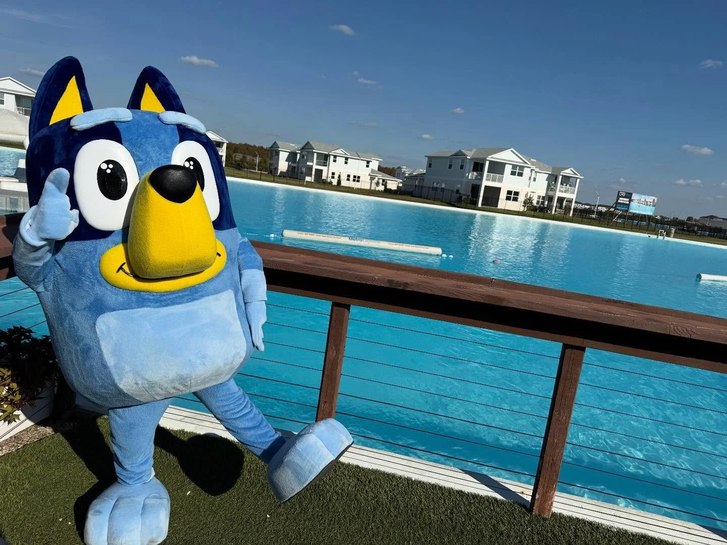 Our Blue Dog at @metrolagoons for a puppy adoption event! She had so much fun.