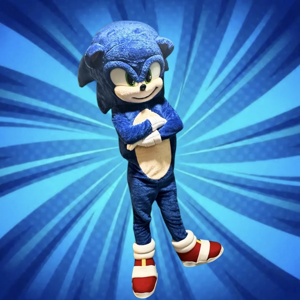 Hire Sonic for birthday parties in Kissimmee, Orlando, Celebration, Davenport, and surrounding Central Florida communities.