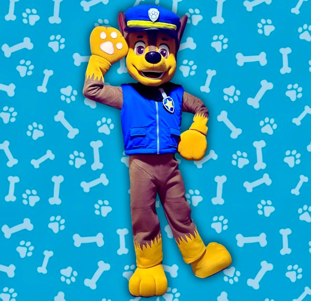 Paw Patrol character for hire featuring Chase for birthday parties, school events, community events, and family celebrations in Kissimmee and Orlando.
