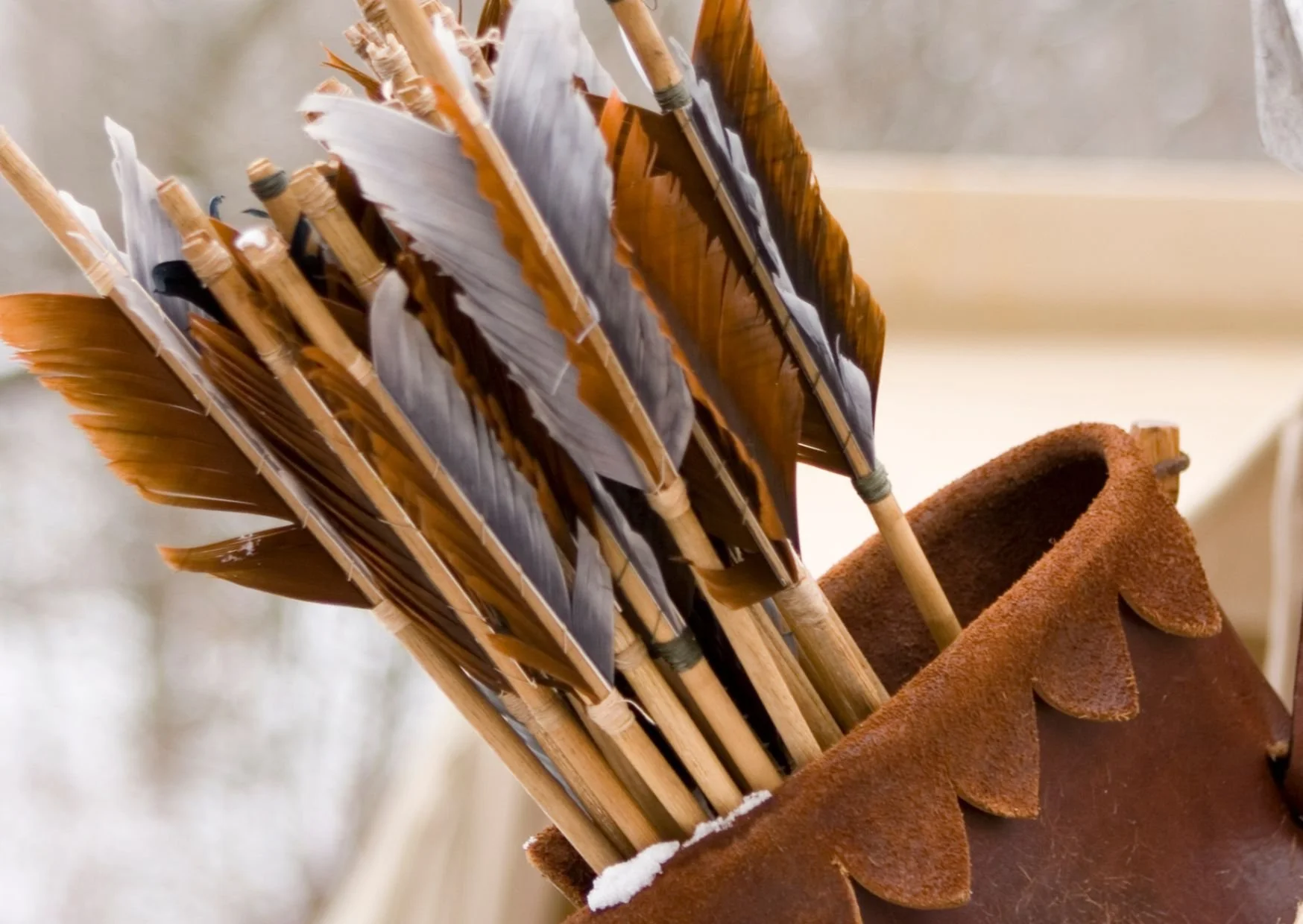 Brown quiver of wooden arrows with grey and tan fletchings