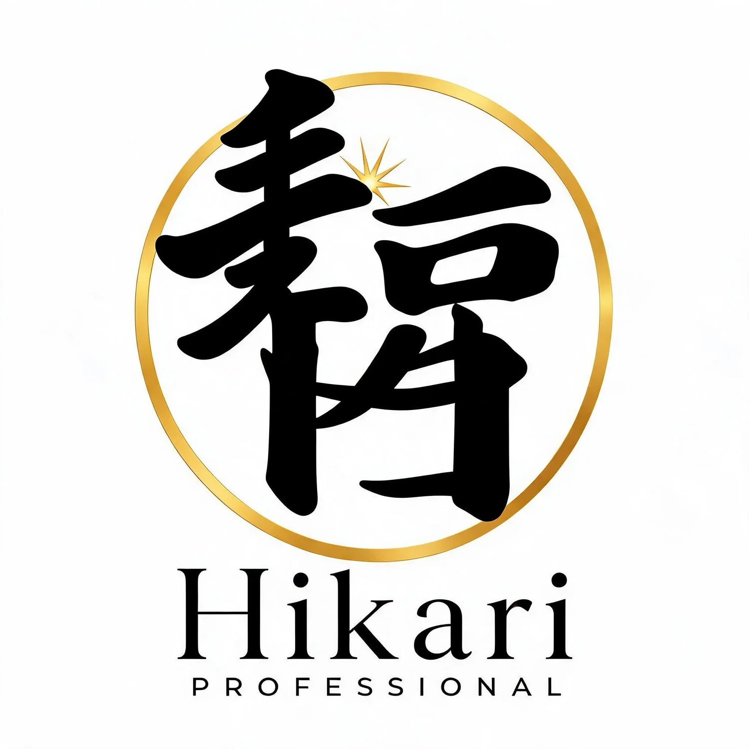 HIKARI PROFESSIONAL 