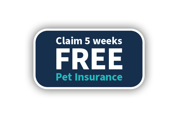 click button for 5 weeks free insurance with vetsure