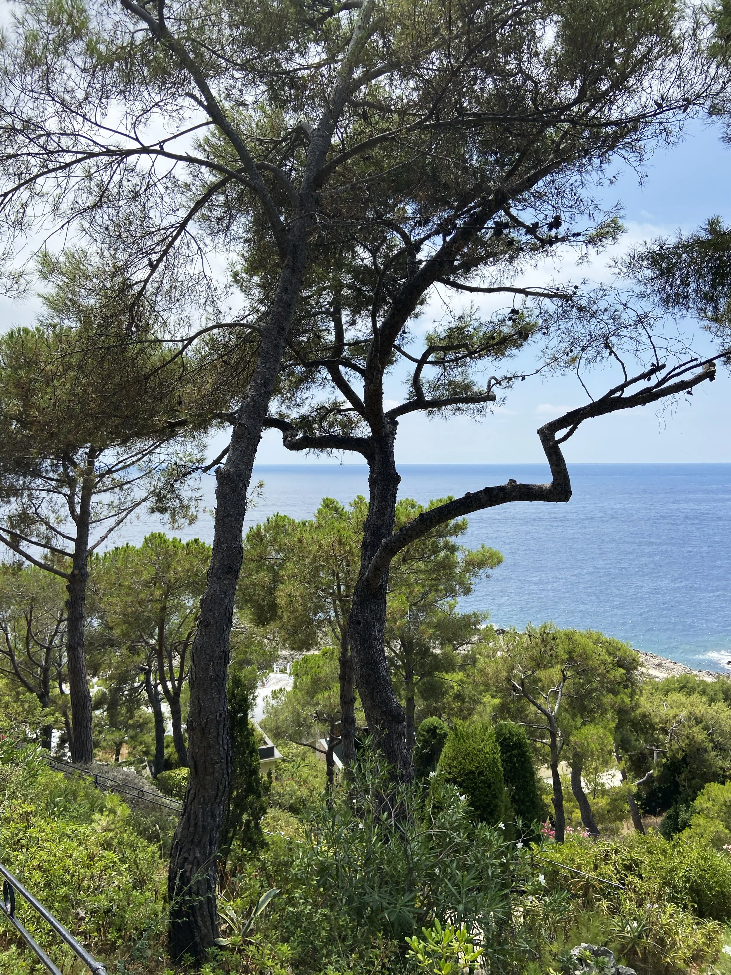 Côte d'Azure.jpg