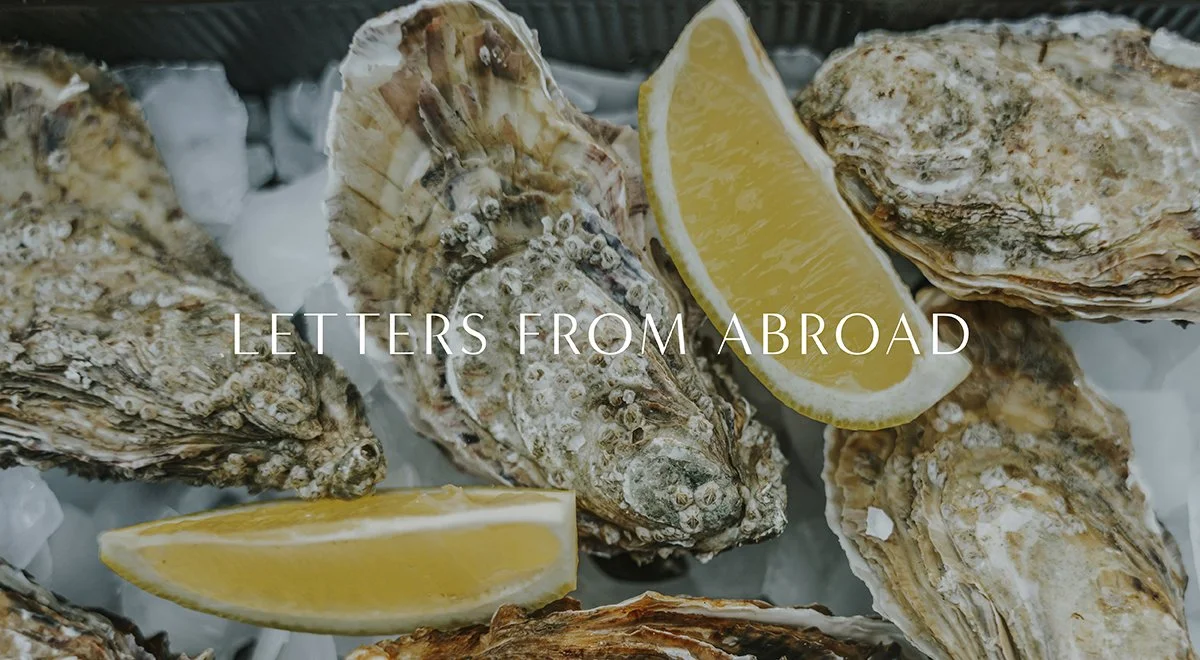 Oysters