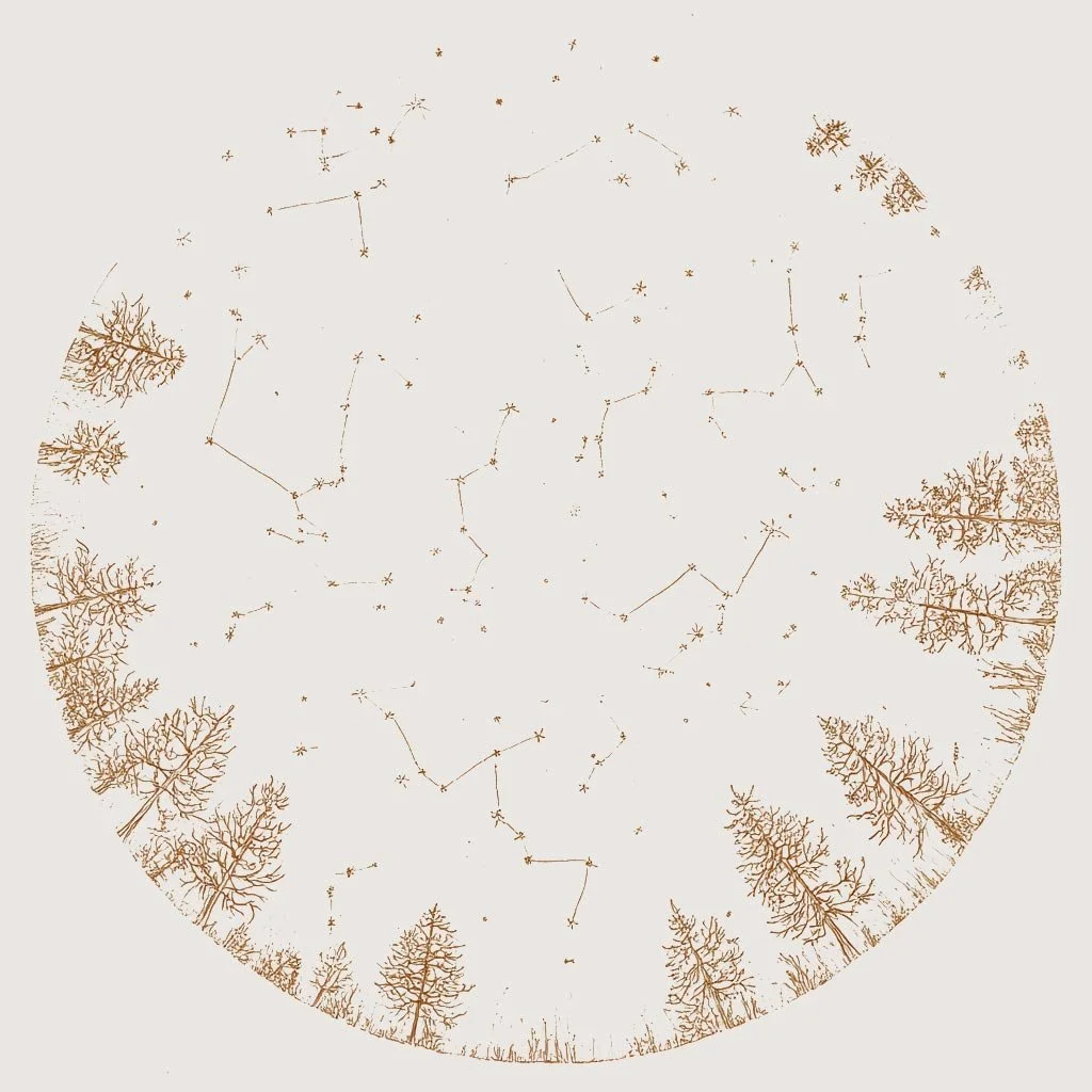 Circular illustration of a night sky with constellations, framed by tree silhouettes, representing organisations and professional groups attending training and workshops.