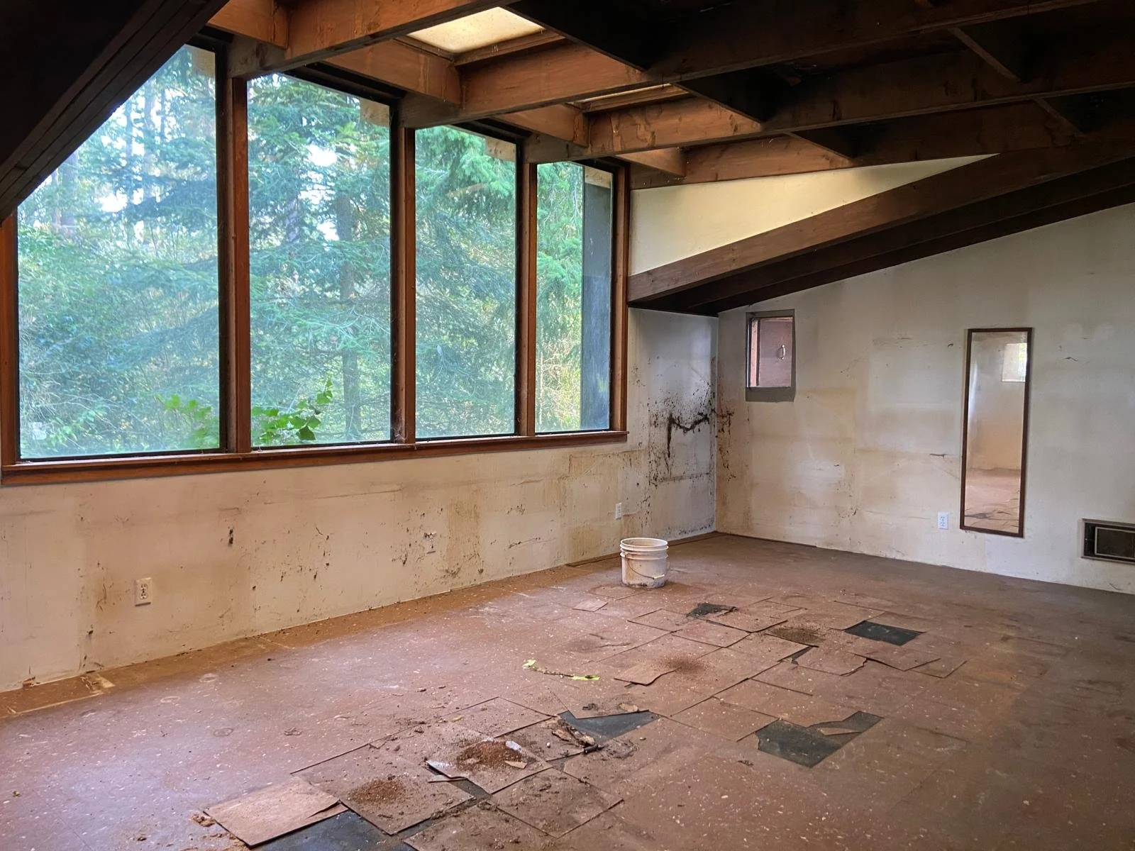 Cathedral before.jpeg