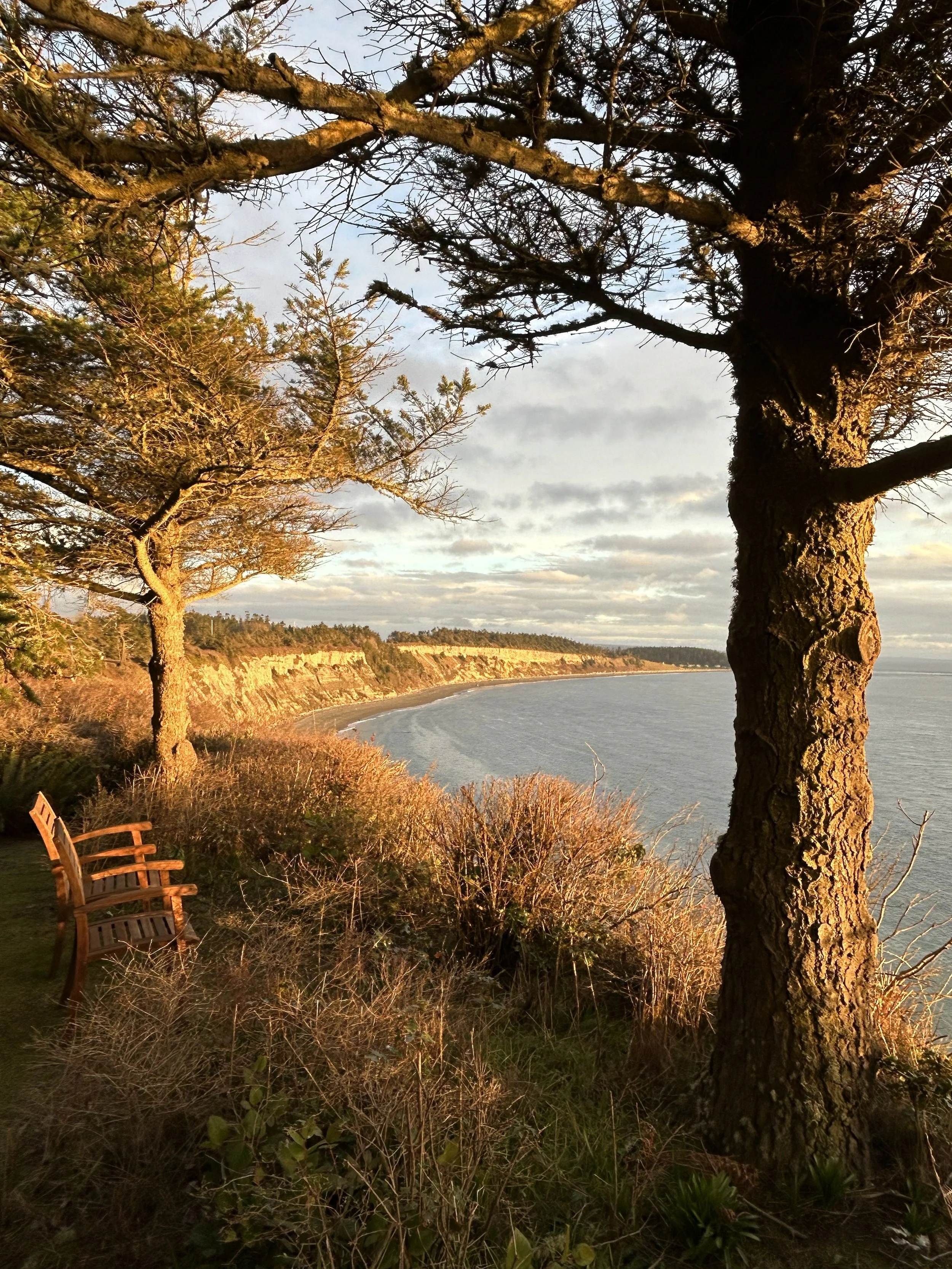 The house sits on a bluff, with views from Mt Rainier to Victoria Island, south to north
