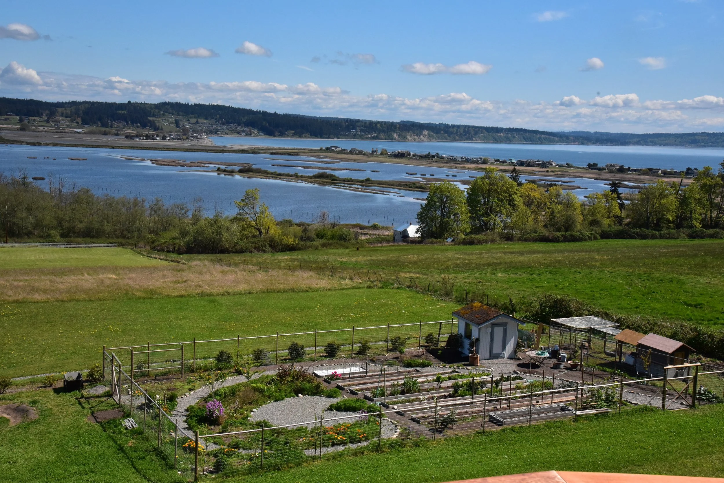 the beginnings of an abundant kitchen garden where once were only brambles