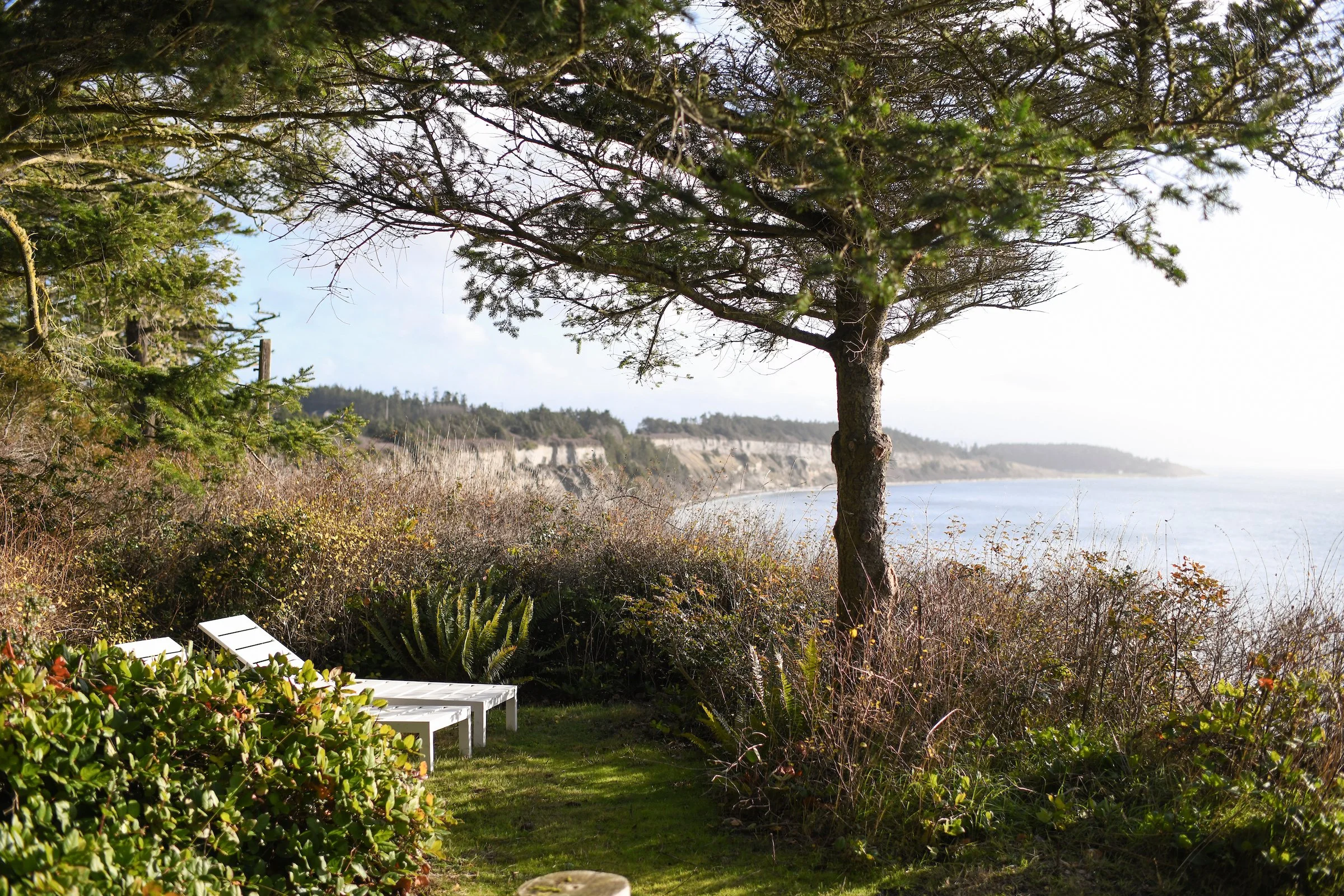 Cathedral garden.jpg