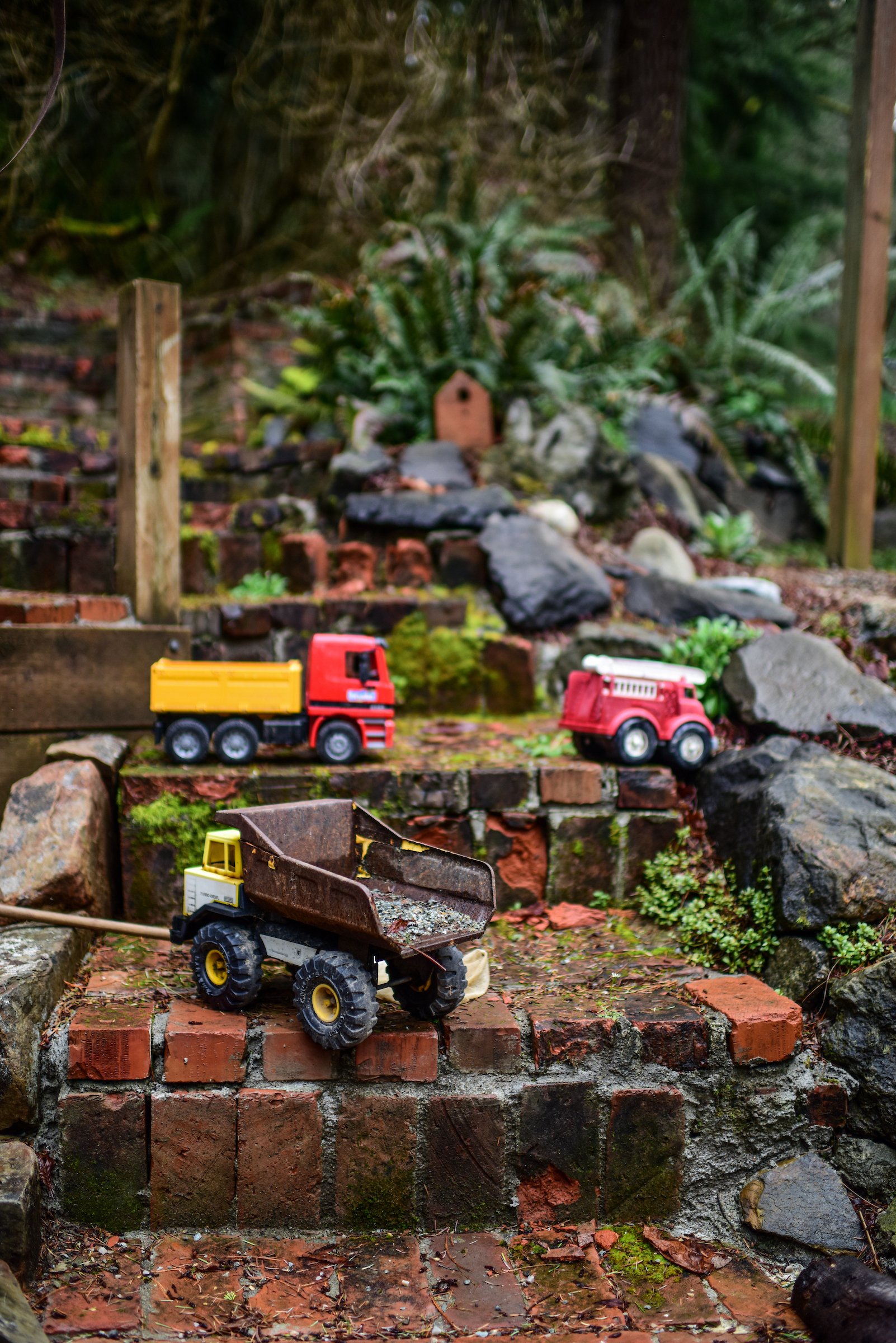 children playing in the old vines