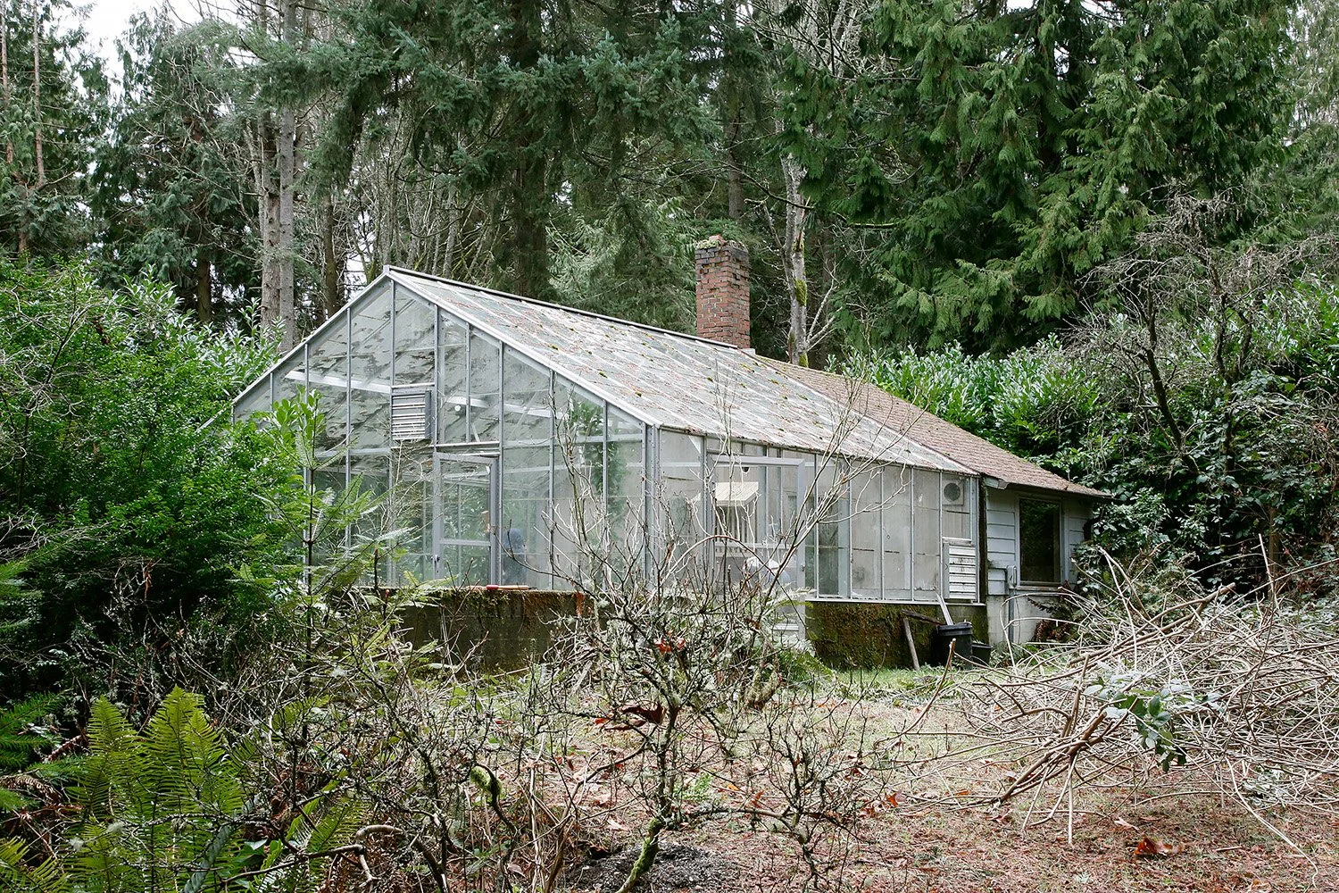 abandoned greenhouse... Seattle