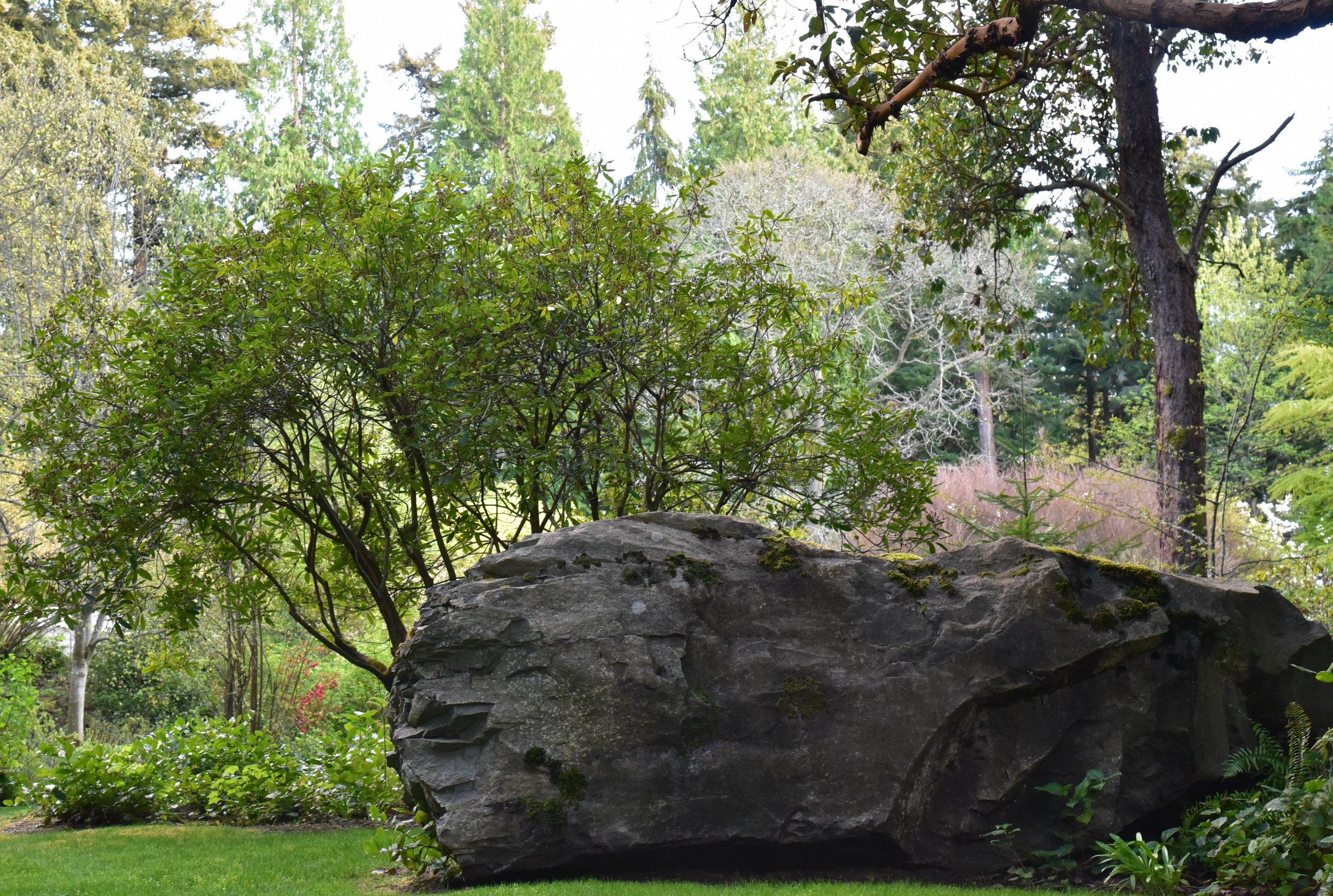 the guardian rock.jpg