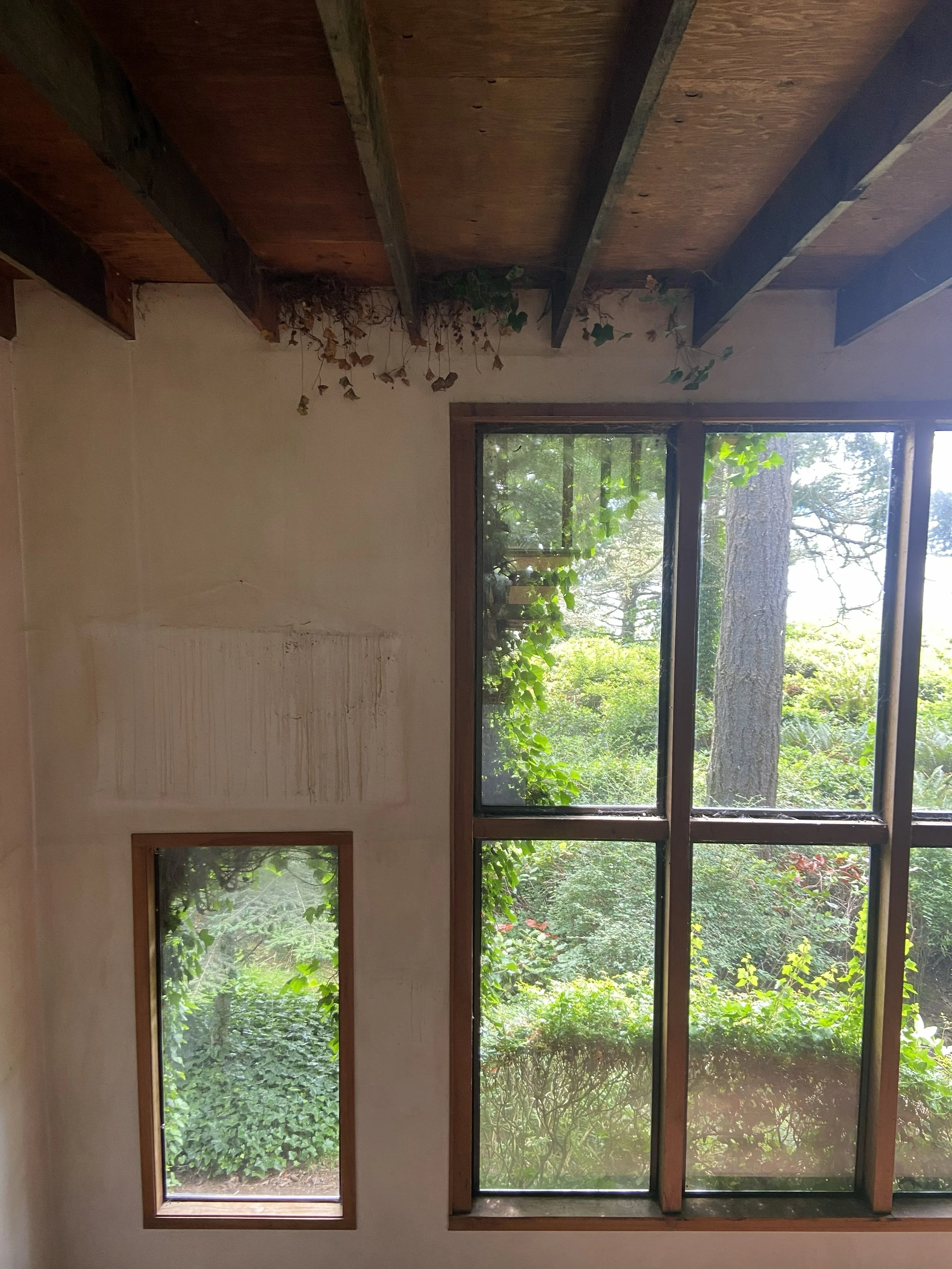 the overgrowth extended into the house