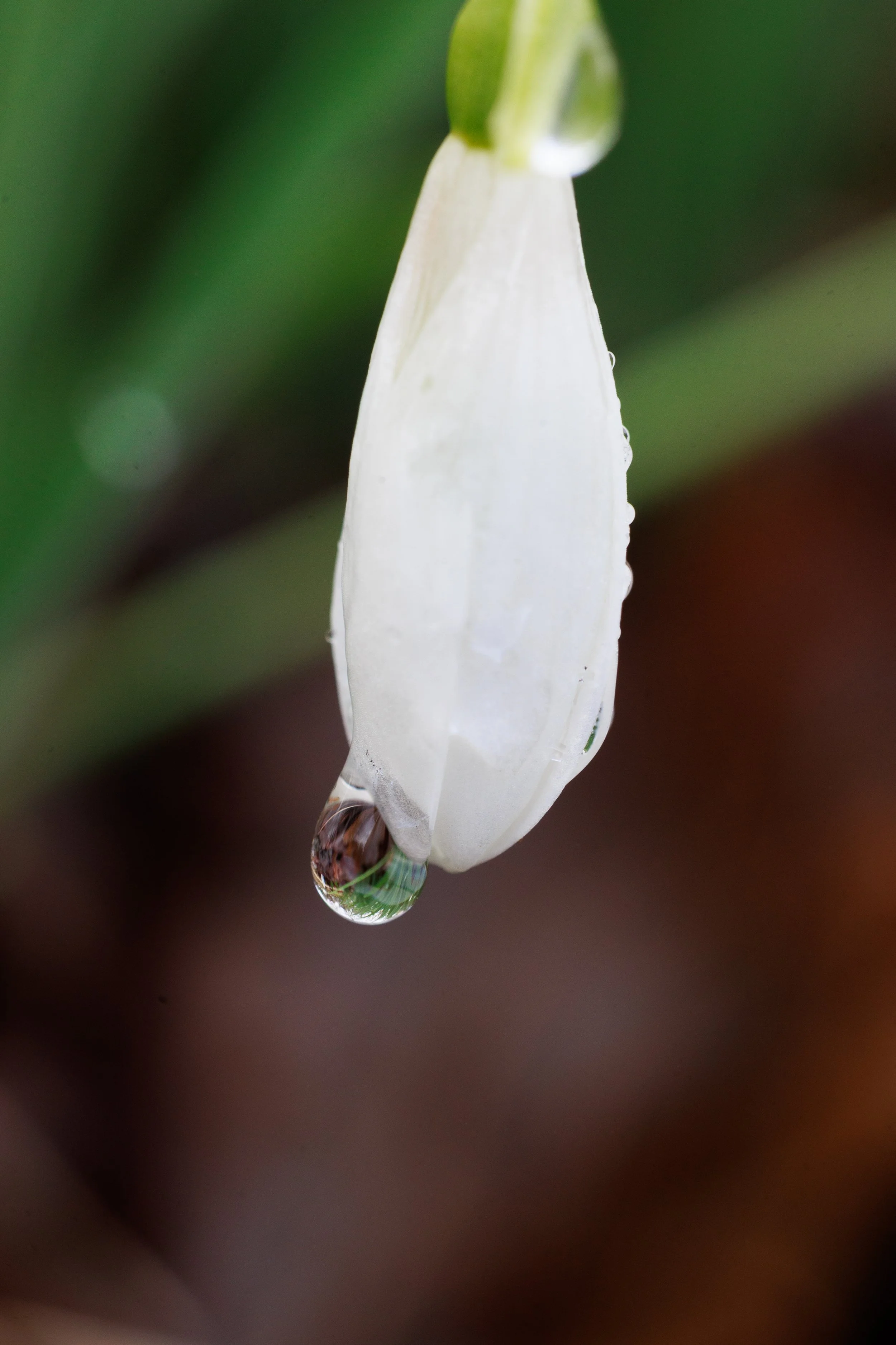 IMG_9274.jpg