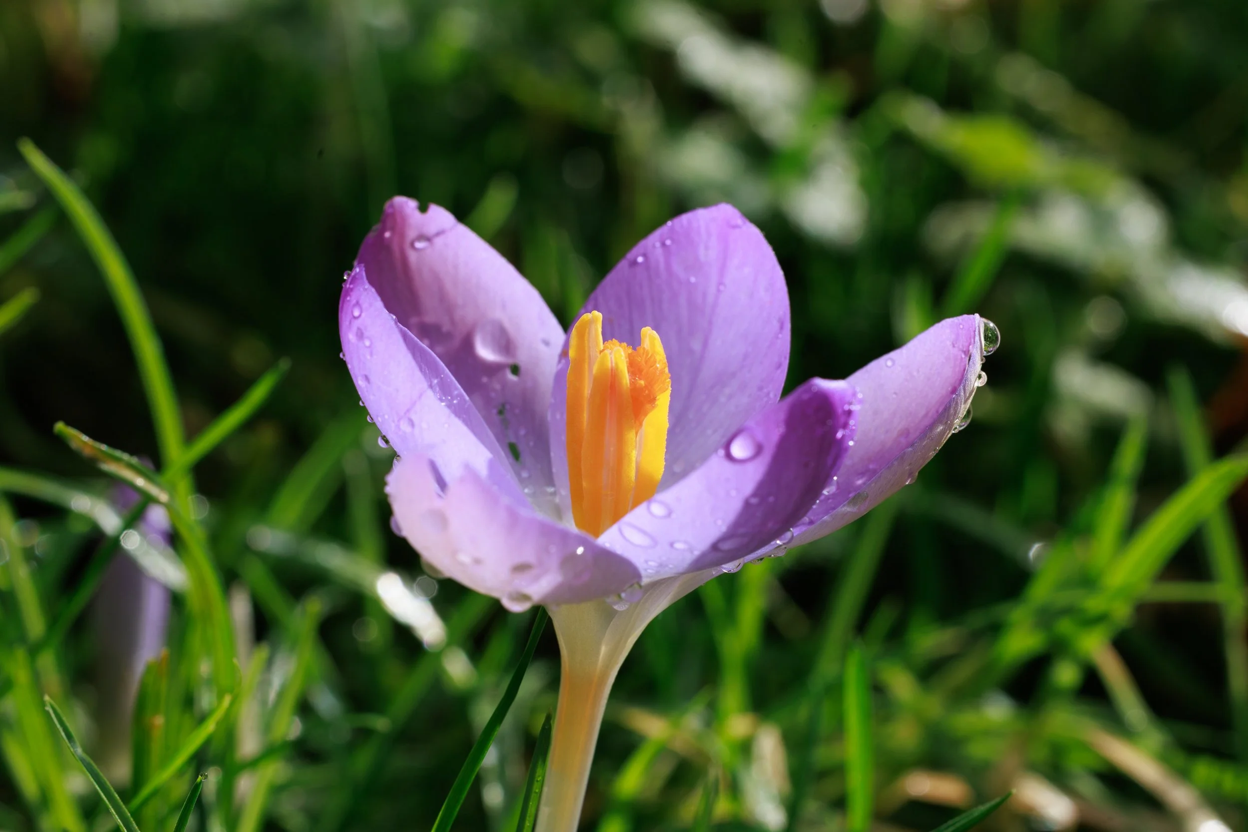 IMG_9383.jpg